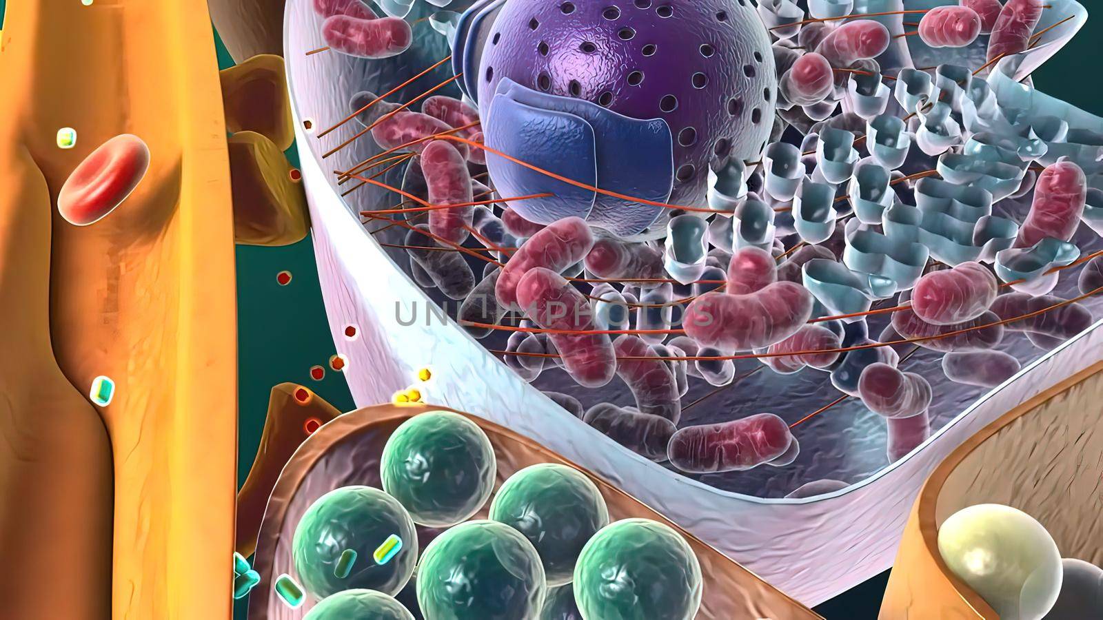 Amyloid Precursor Protein Cleavage, 3d medical illustration .