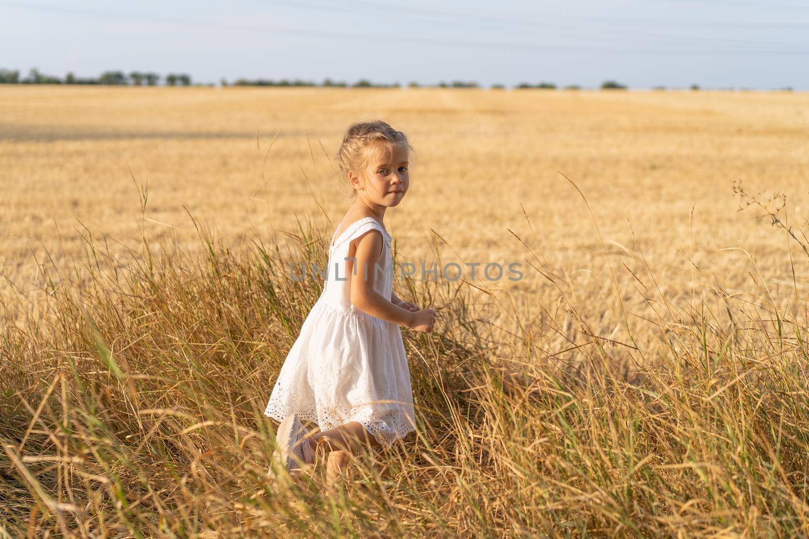 Little girl dressed white dress walking wheat field summer day. Caucasian female child running agricultural field freedom concept