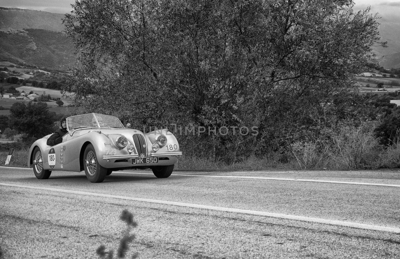 jaguar xk120 ots roadsters on an old racing car in rally Mille Miglia 2020 the famous italian historical race (1927-1957) by massimocampanari