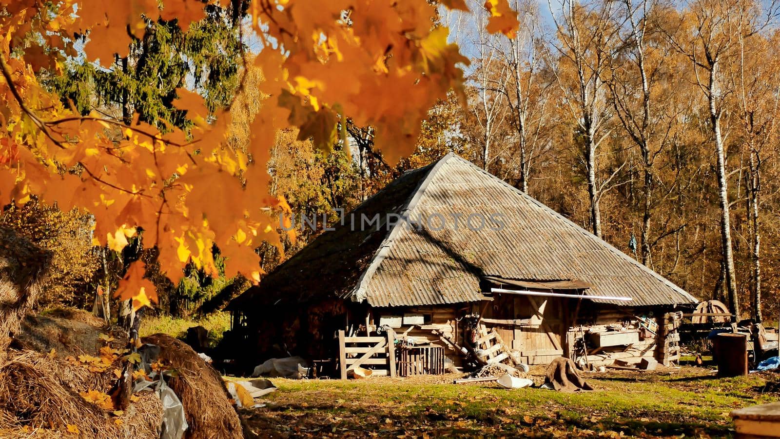 Village houses under the leaves of autumn trees. Straw at the barn. Sunny day. Autumn landscape