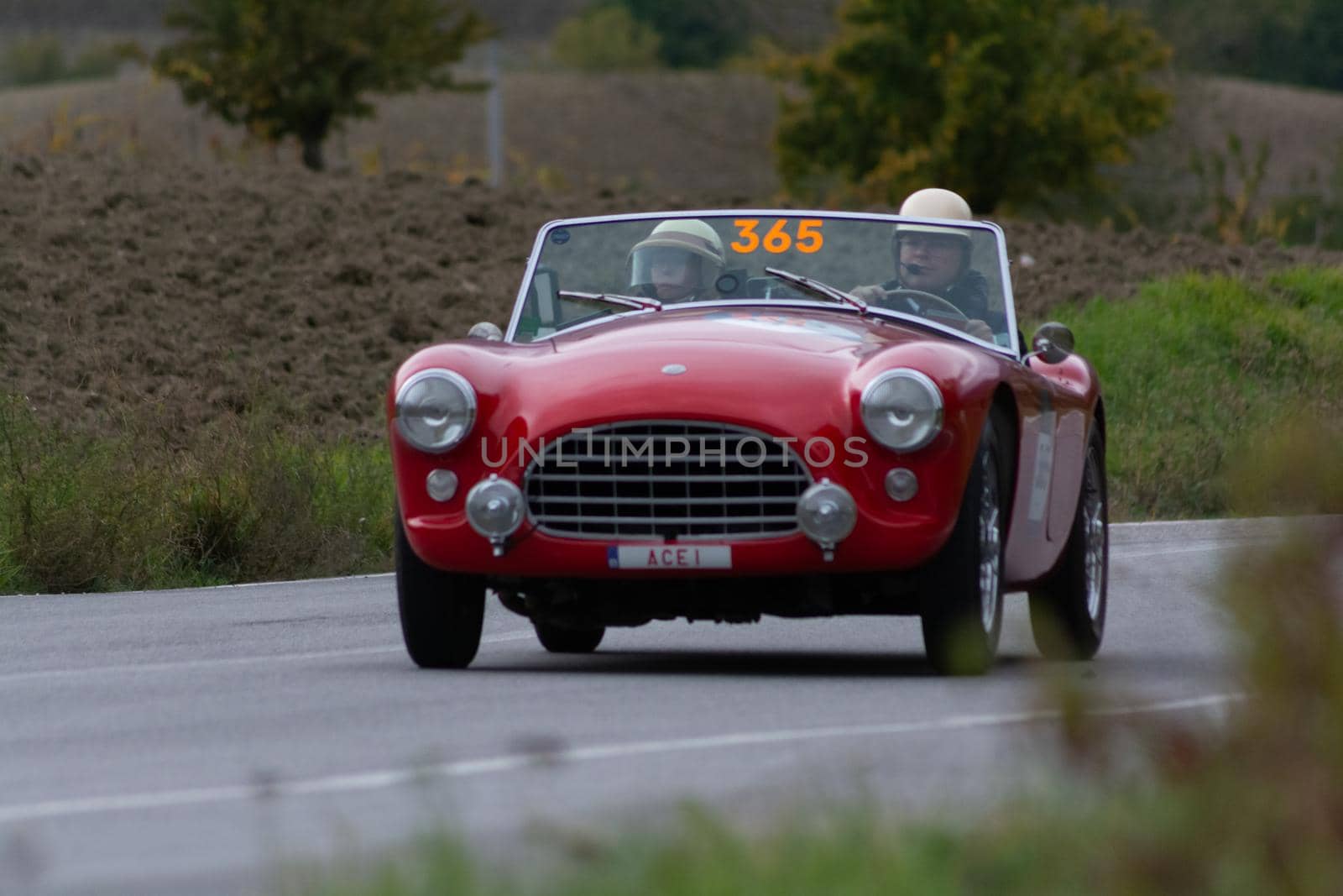 AC ACE 1956 on an old racing car in rally Mille Miglia 2020 the famous italian historical race (1927-1957 by massimocampanari