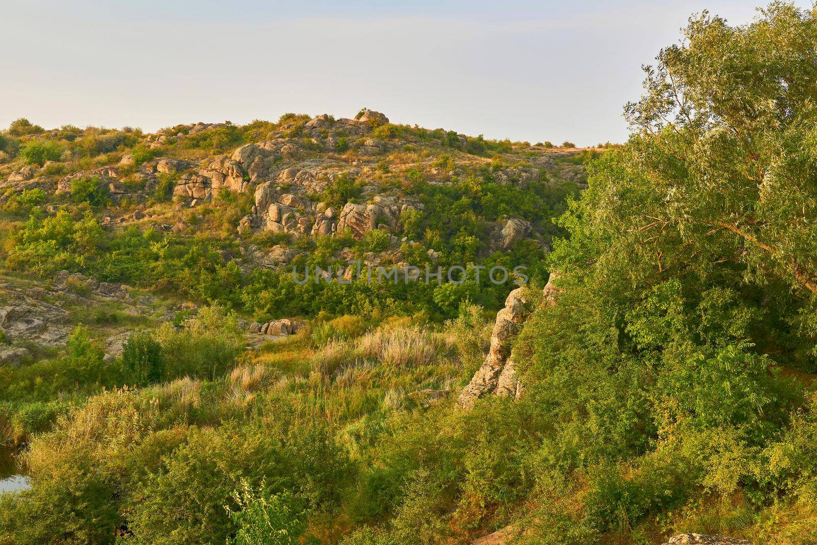 Wild rocky plain with a ravine overgrown with trees by jovani68