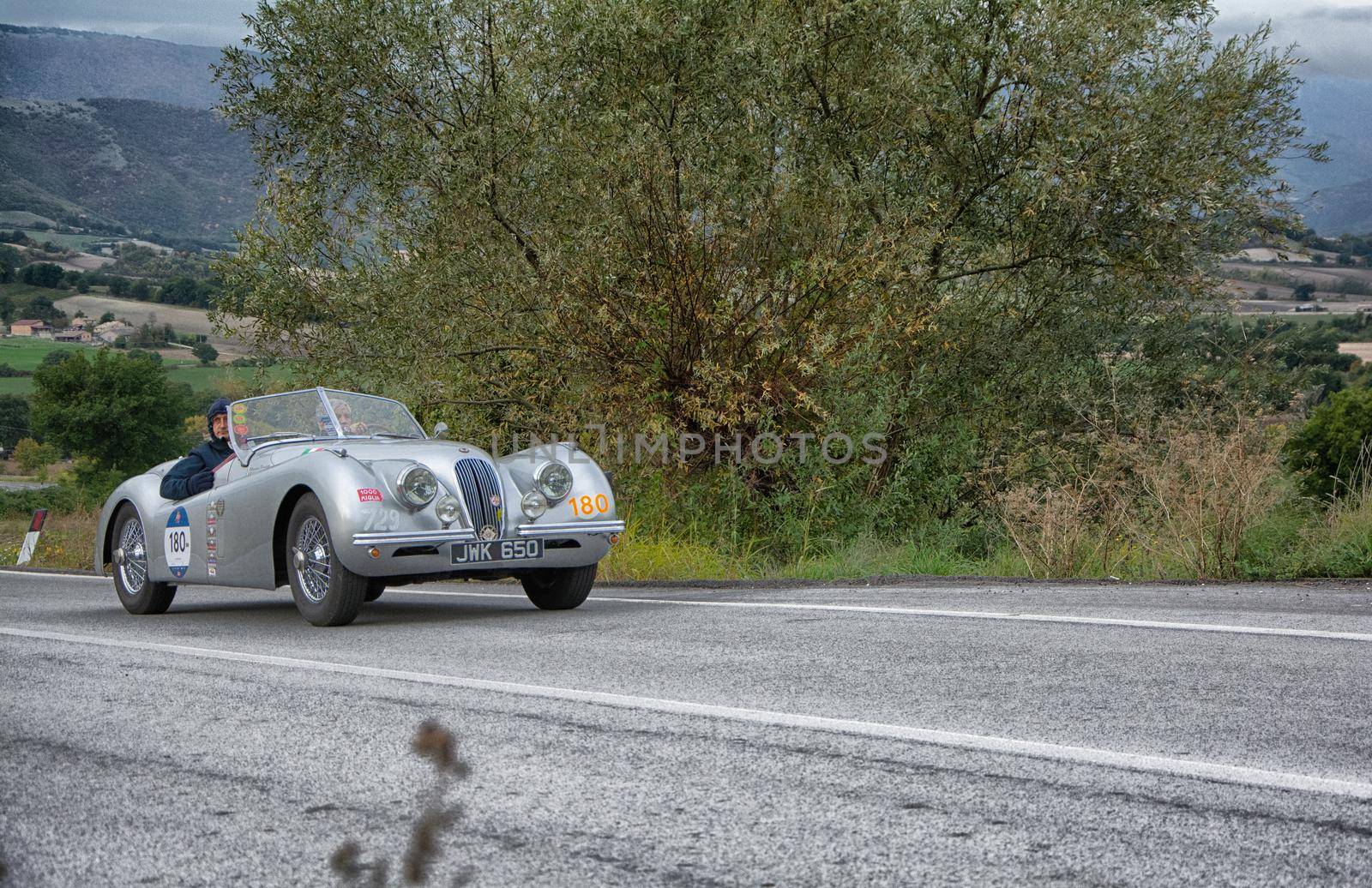 jaguar xk120 ots roadsters on an old racing car in rally Mille Miglia 2020 the famous italian historical race (1927-1957) by massimocampanari