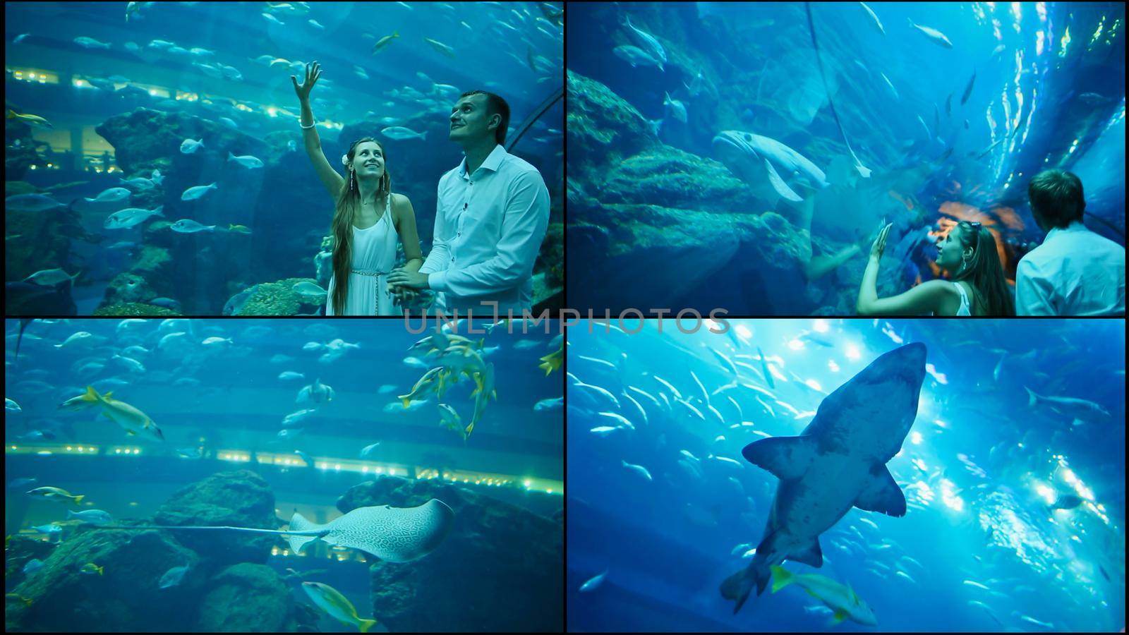 Guy and Girl walk on an underwater aquarium