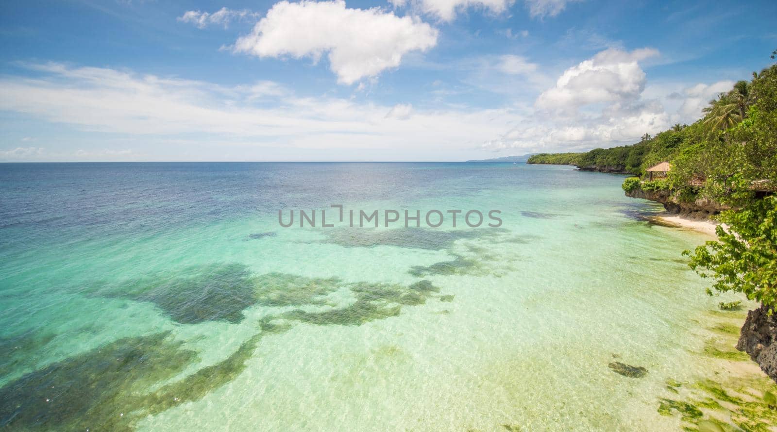 The tropical coast of the island of Bohol with corals. Philippines