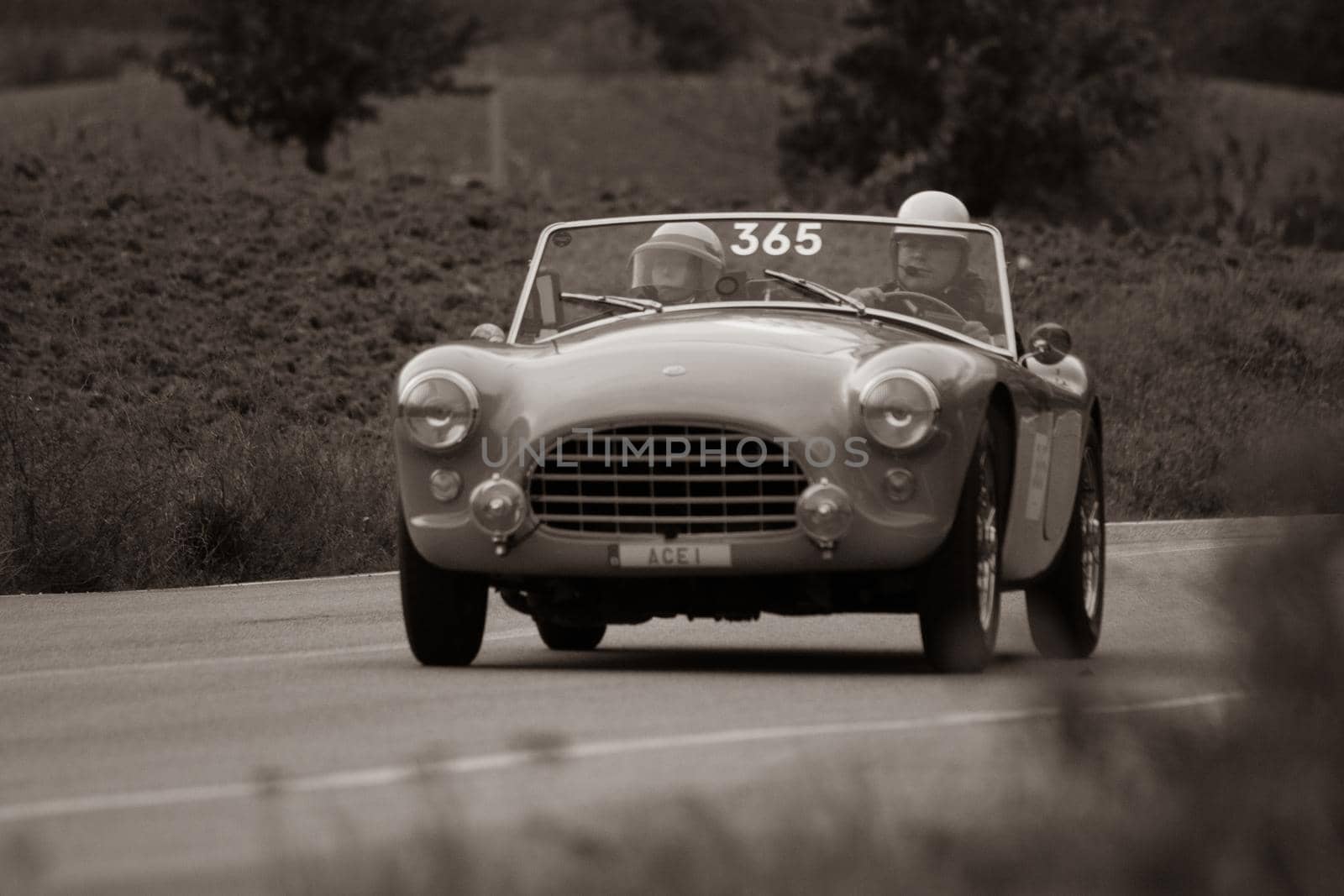 CAGLI , ITALY - OTT 24 - 2020 : AC ACE 1956 on an old racing car in rally Mille Miglia 2020 the famous italian historical race (1927-1957