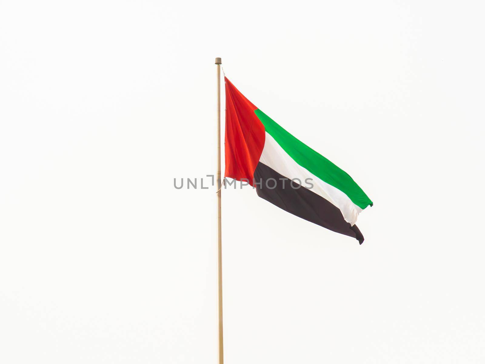 Flag of the United Arab Emirates. Dubai