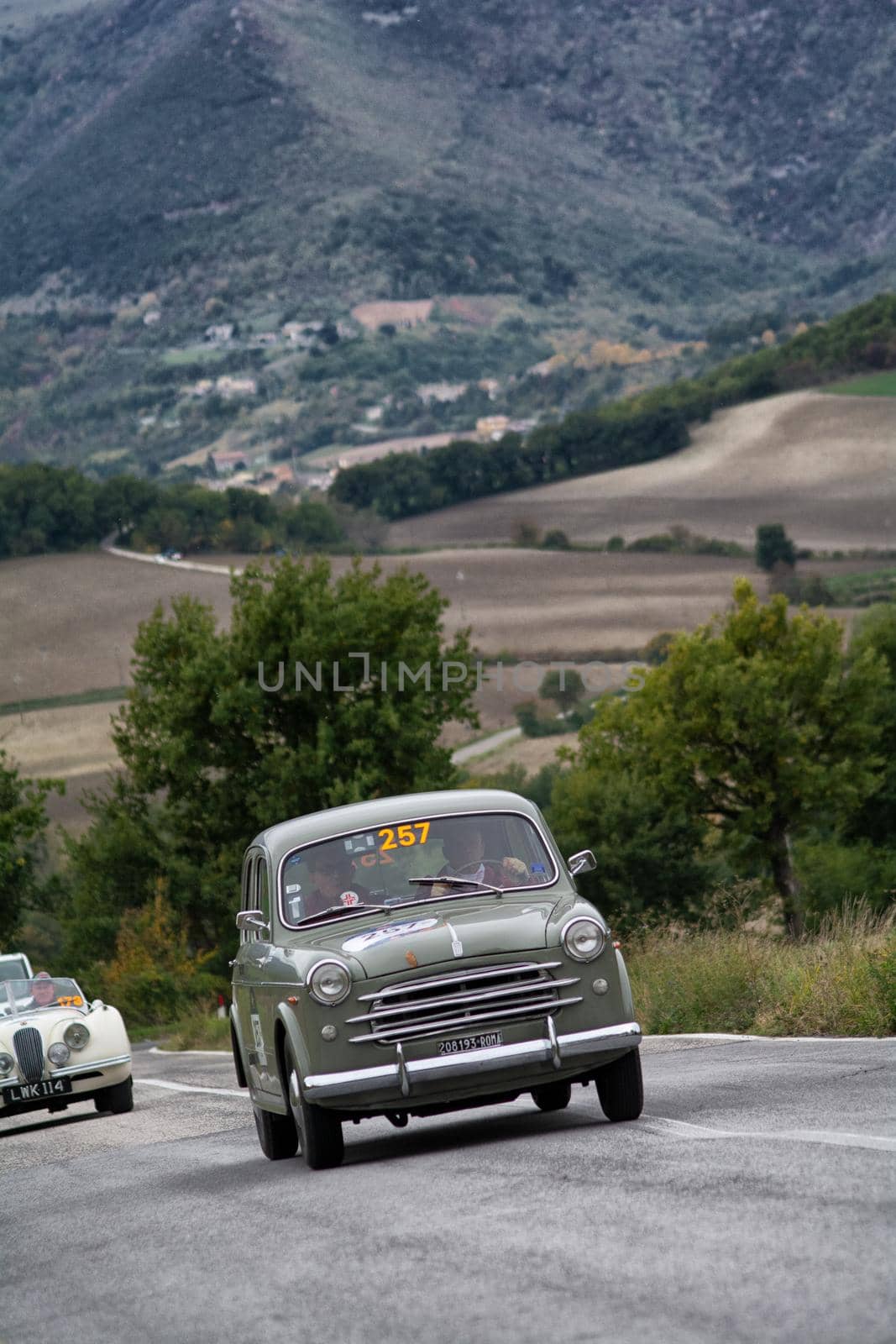 CAGLI , ITALY - OTT 24 - 2020 : FIAT 1100 103 on an old racing car in rally Mille Miglia 2020 the famous italian historical race (1927-1957)