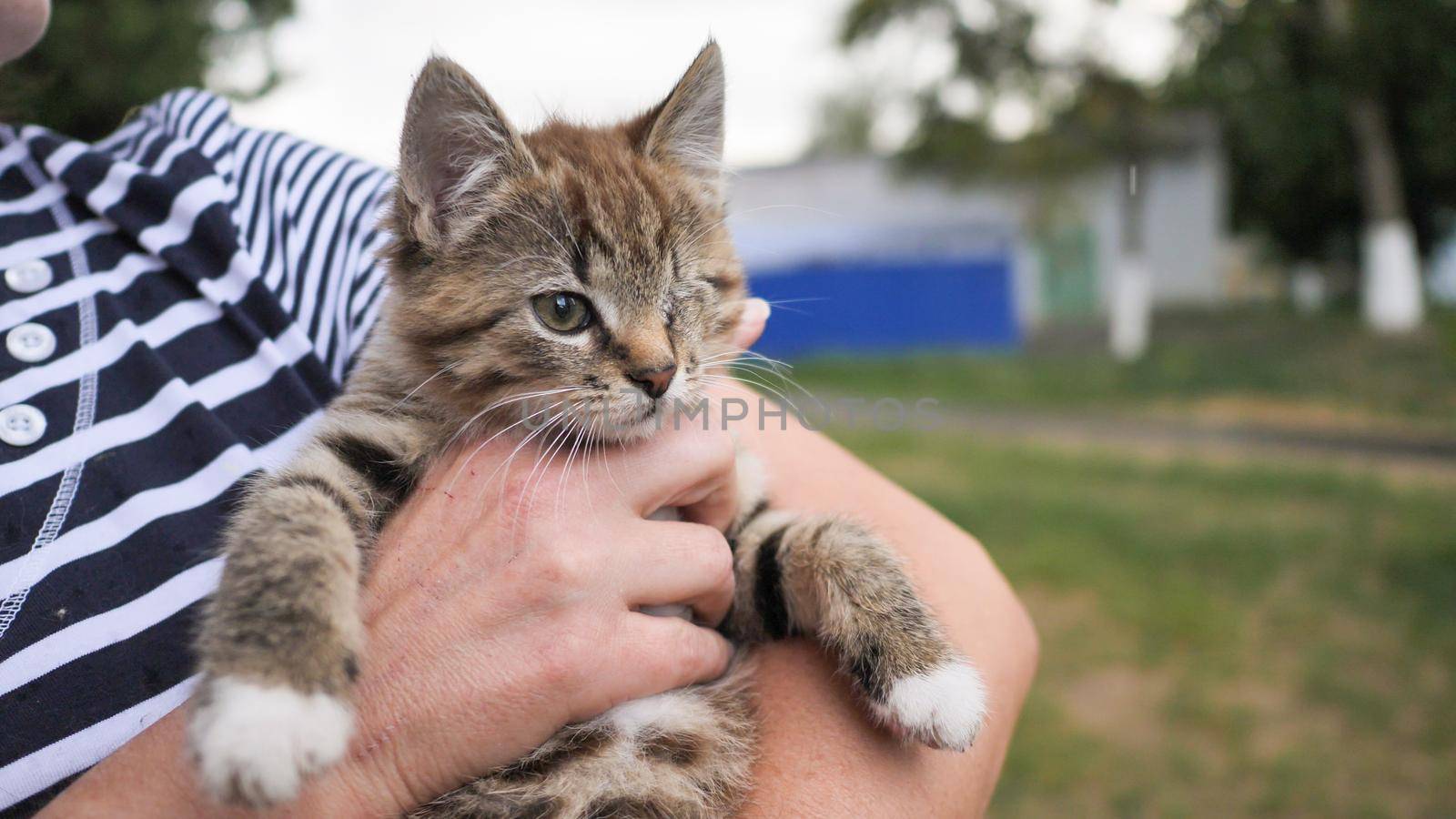 A small brown one-eyed kitten disabled sits in the arms of a woman