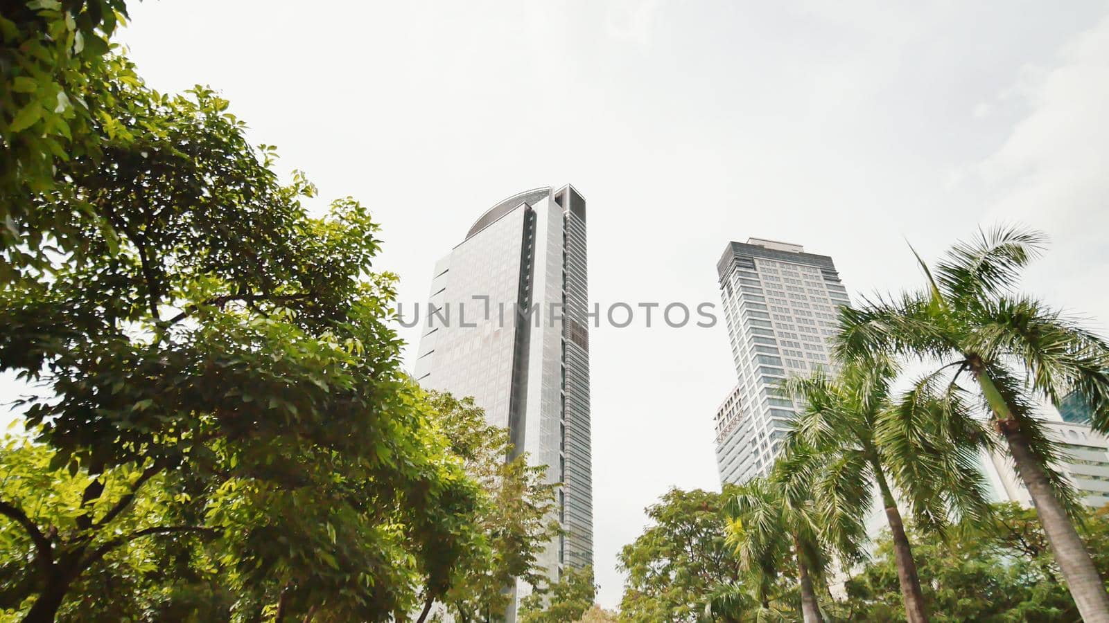 Skyscrapers against the backdrop of palm trees. Shooting in motion. Makati District in Manila. Philippines. by DovidPro