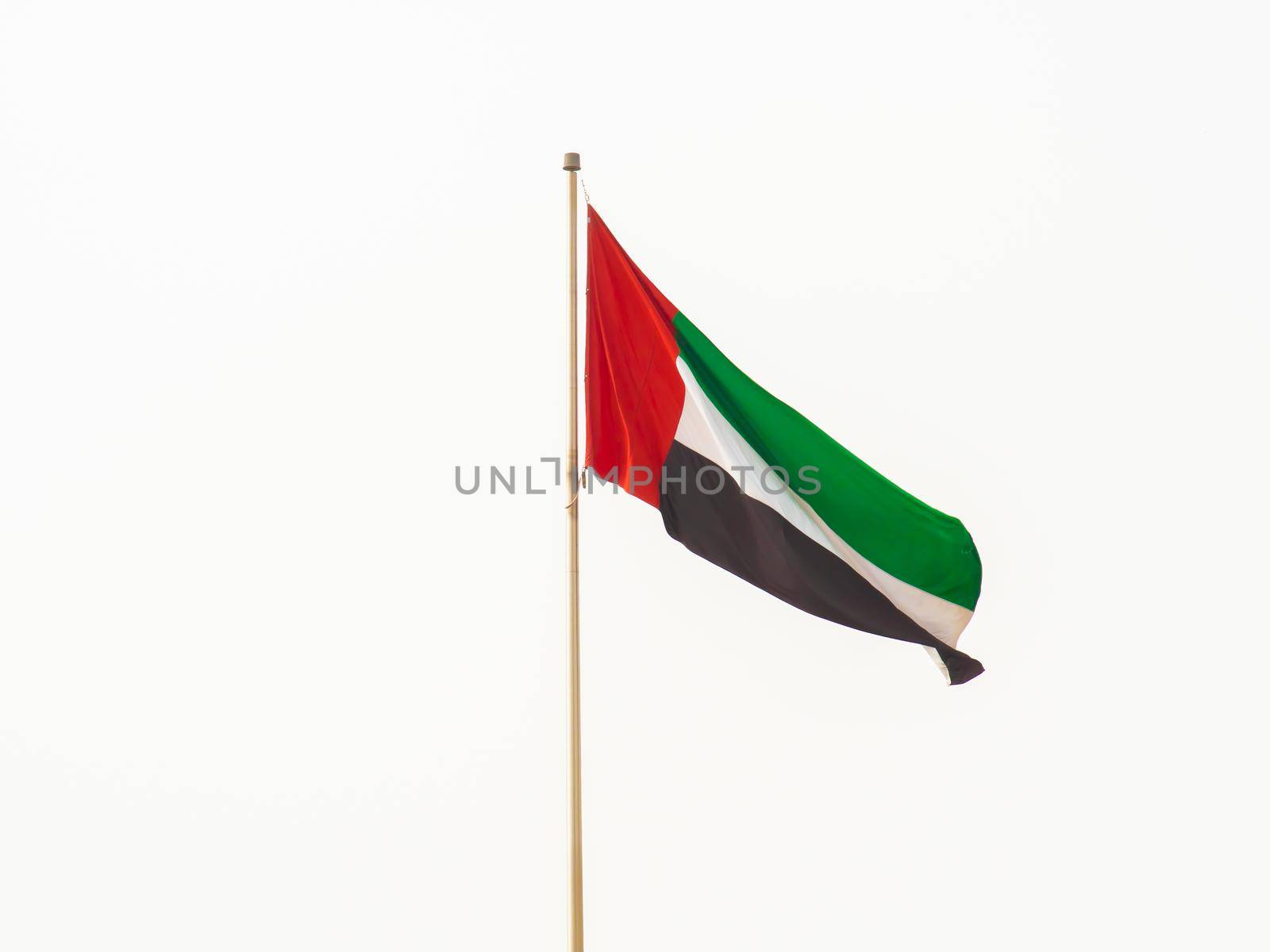 Flag of the United Arab Emirates. Dubai. by DovidPro