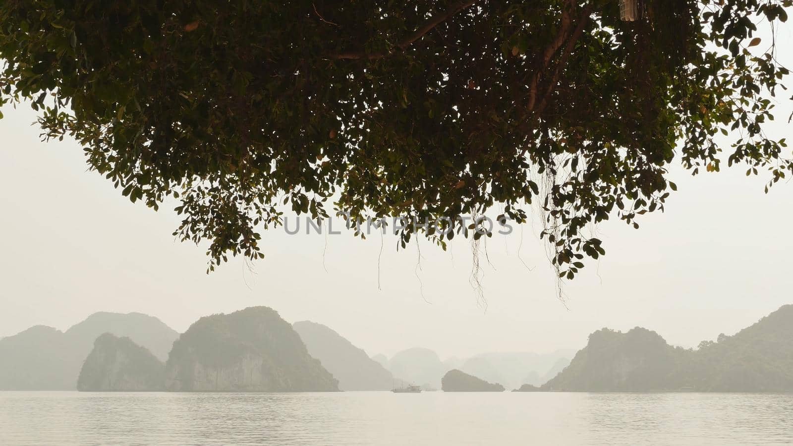 View of the mountains and the sea. With the hanging tree branches. Shot in 4K - 3840x2160, 30fps