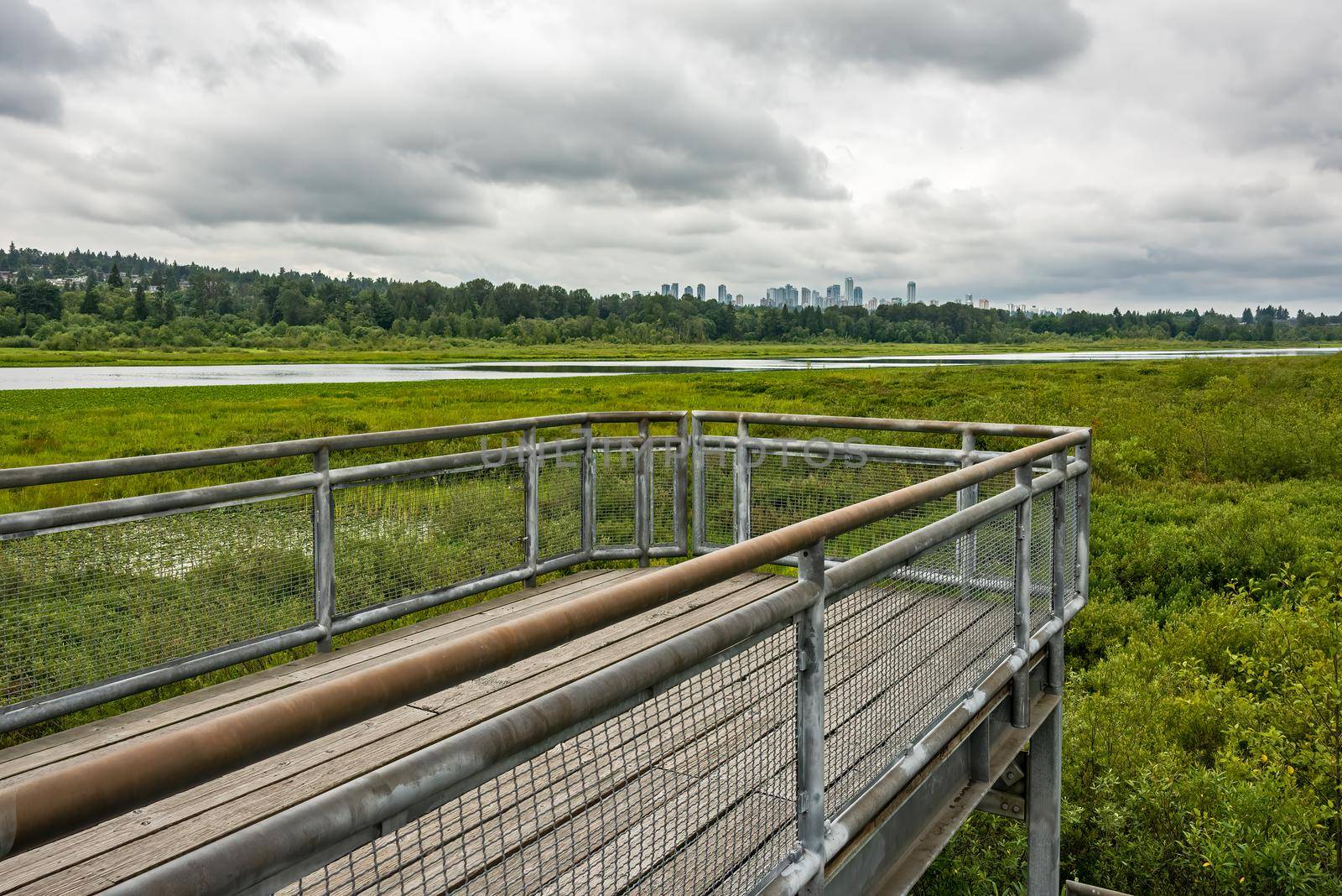 Recreational deck with observation over the park of Burnaby lake by Imagenet