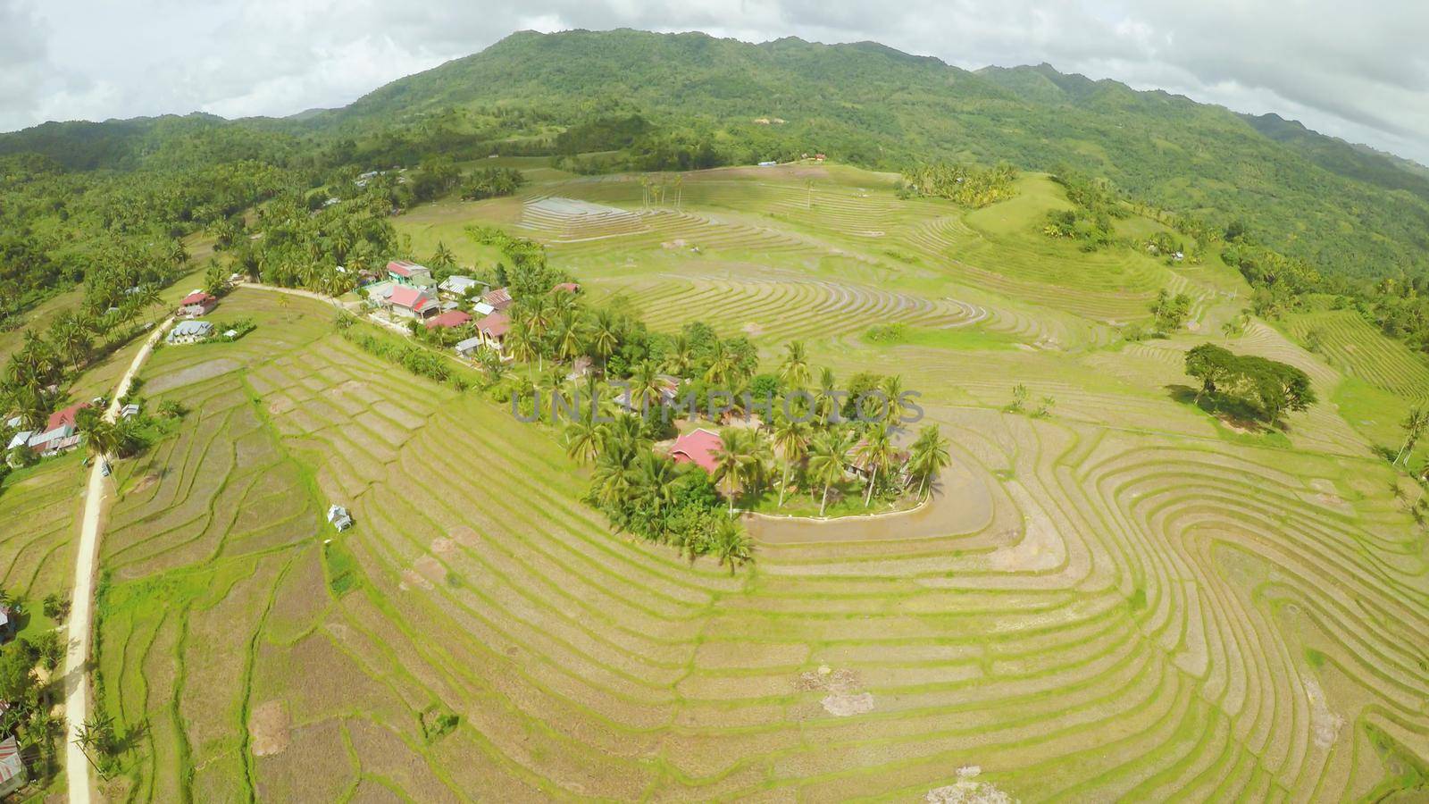 Rice fields of the Philippines. The island of Bohol. Filipino village with houses. by DovidPro