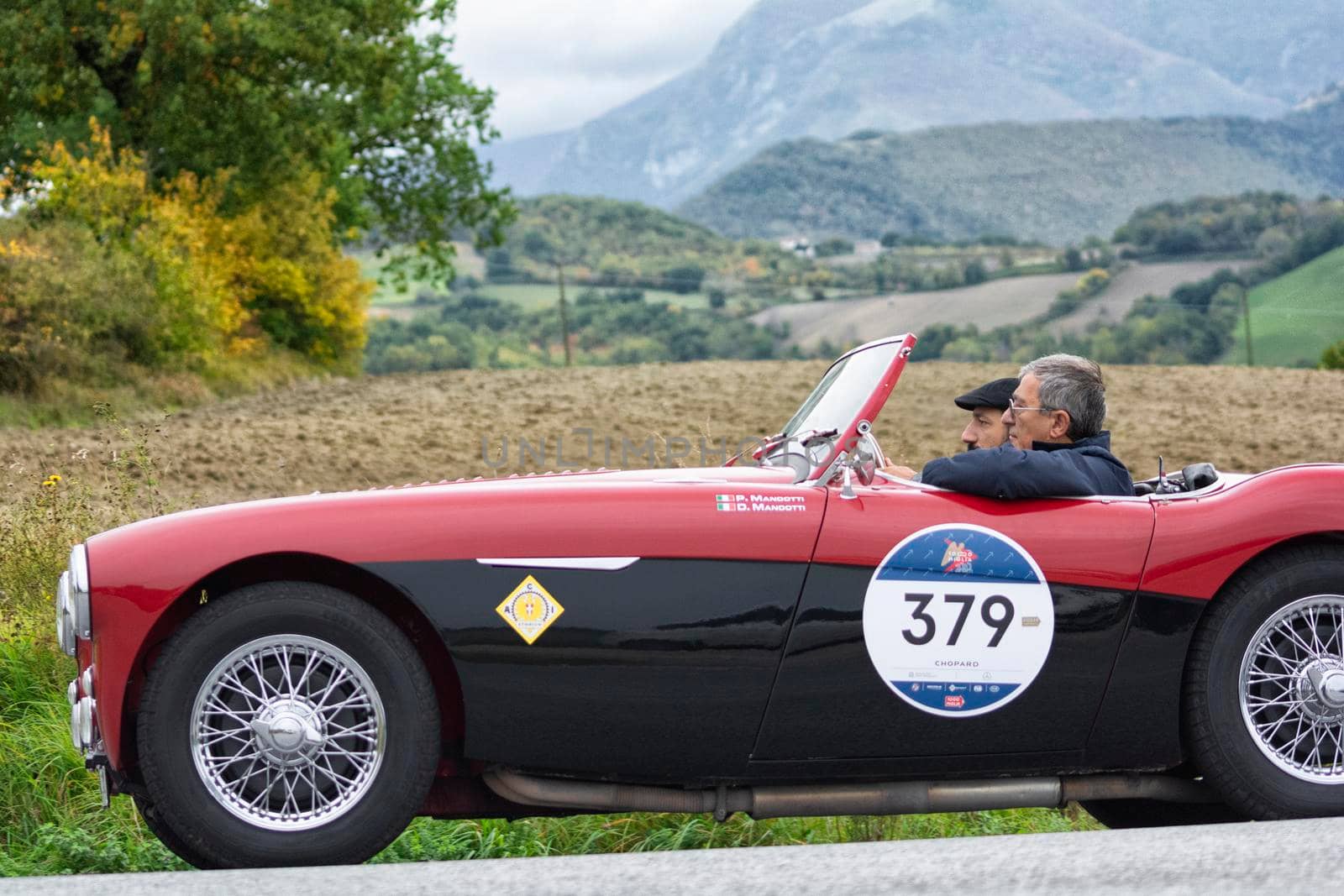 CAGLI , ITALY - OTT 24 - 2020 : AUSTIN HEALEY 100/4 BN2 1956 on an old racing car in rally Mille Miglia 2020 the famous italian historical race (1927-1957)