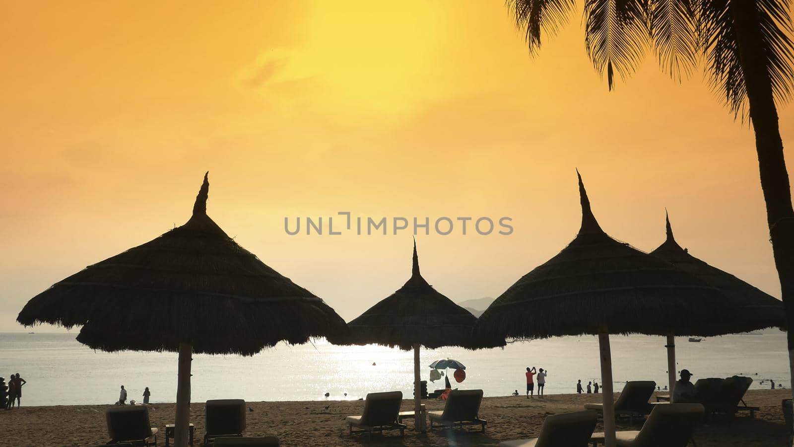 Silhouettes of beach chairs in the evening sky in Vietnam with palm trees. View of umbrellas from a creek on the beach during sunset. by DovidPro