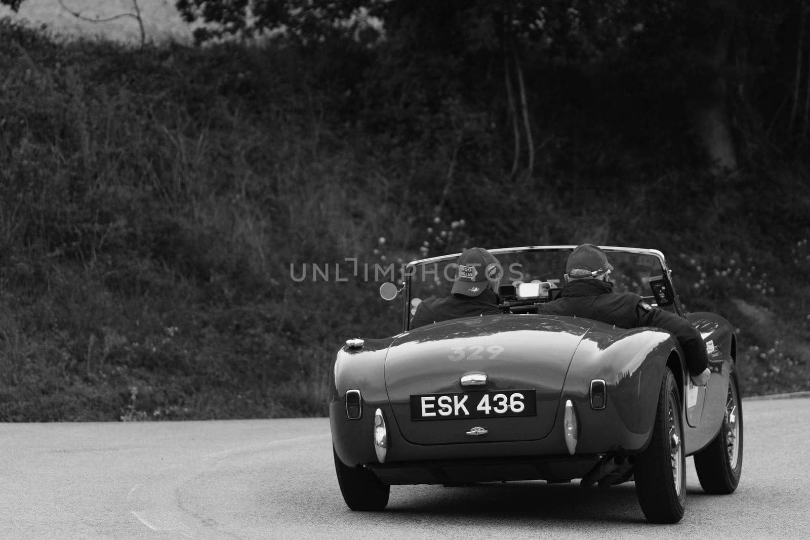 AC ACE 1955 an old racing car in rally Mille Miglia 2020 the famous italian historical race by massimocampanari