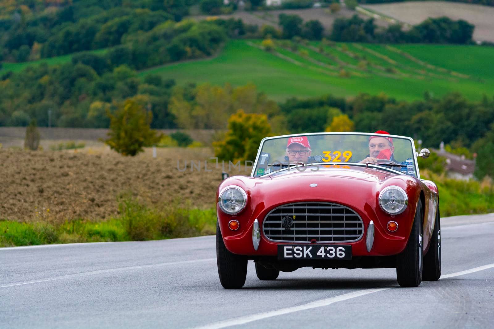 CAGLI , ITALY - OTT 24 - 2020 : AC ACE 1955 an old racing car in rally Mille Miglia 2020 the famous italian historical race