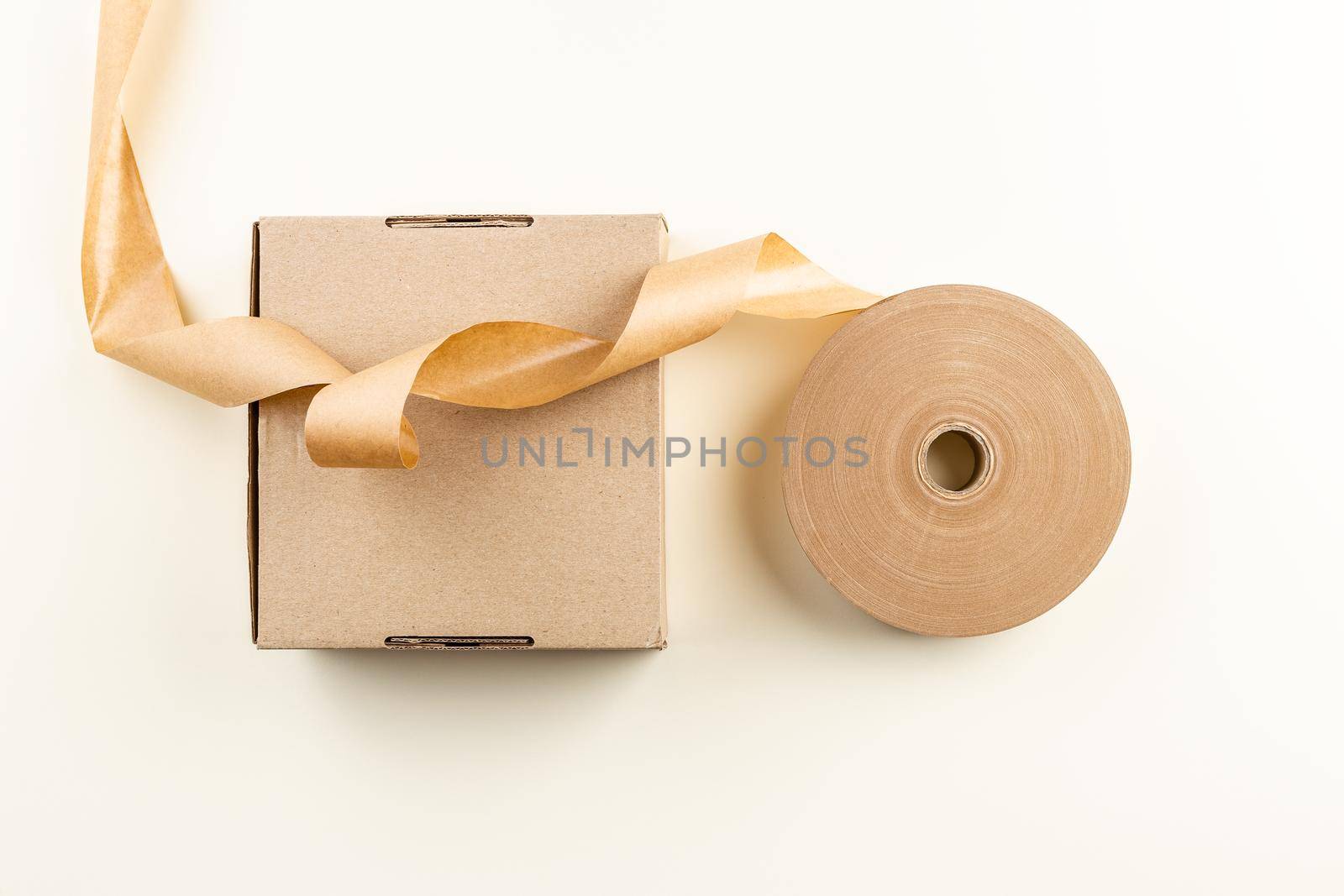 Zero Waste Paper scotch roll and a carton box by Syvanych