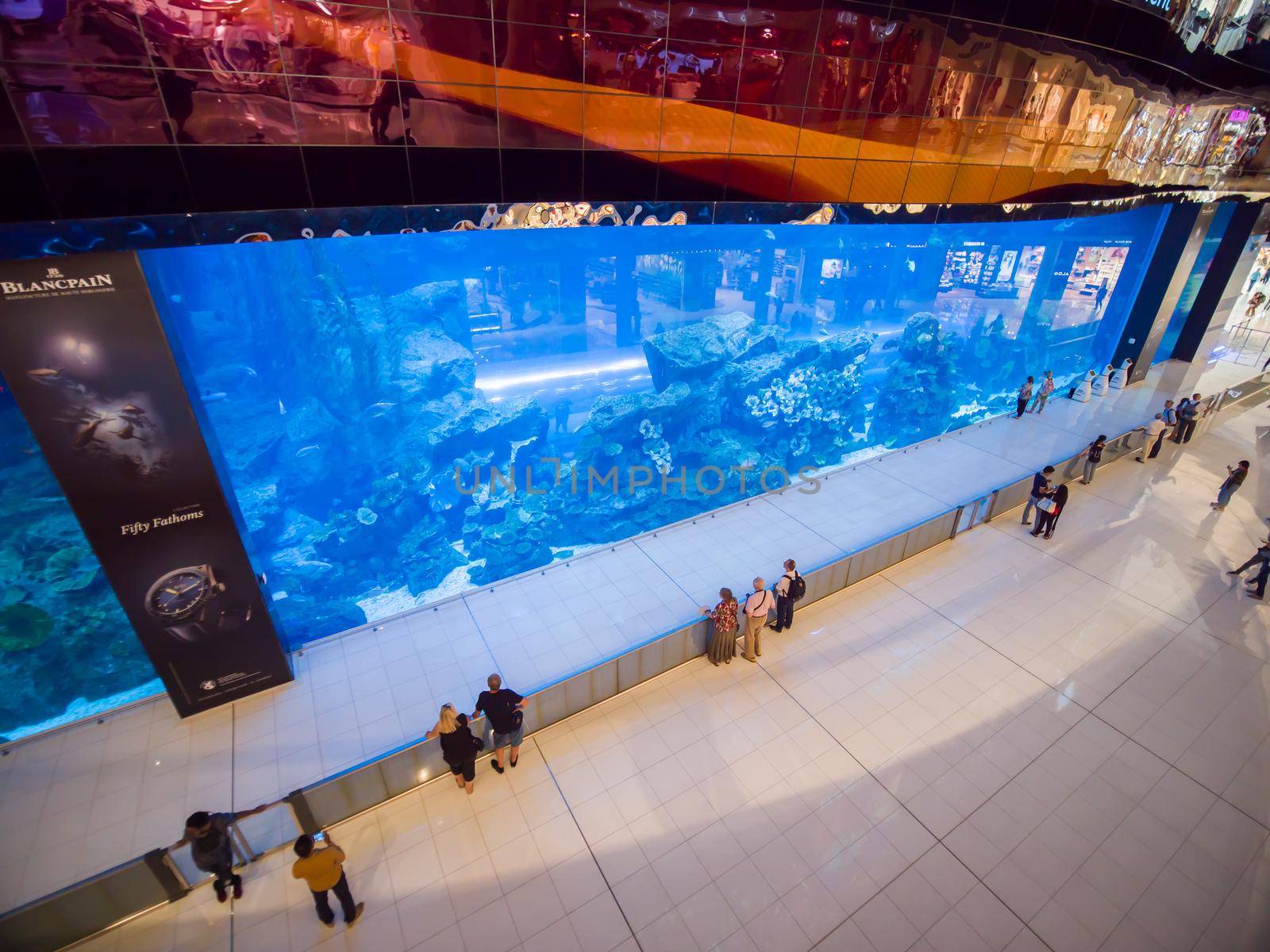 Dubai, UAE - May 15, 2018: Aquarium in Dubai Mall - world's largest shopping mall, Downtown Burj Khalifa. by DovidPro