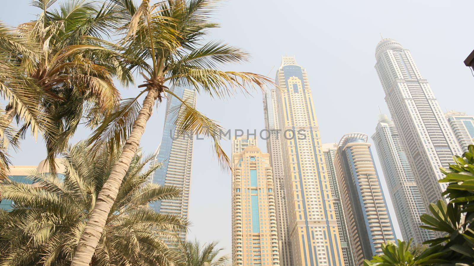 Residential skyscrapers with apartments against the backdrop of palm trees in Dubai. UAE