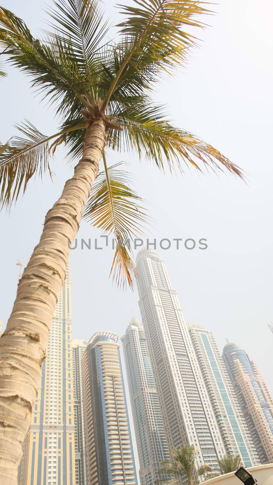 Residential skyscrapers with apartments against the backdrop of palm trees in Dubai. UAE