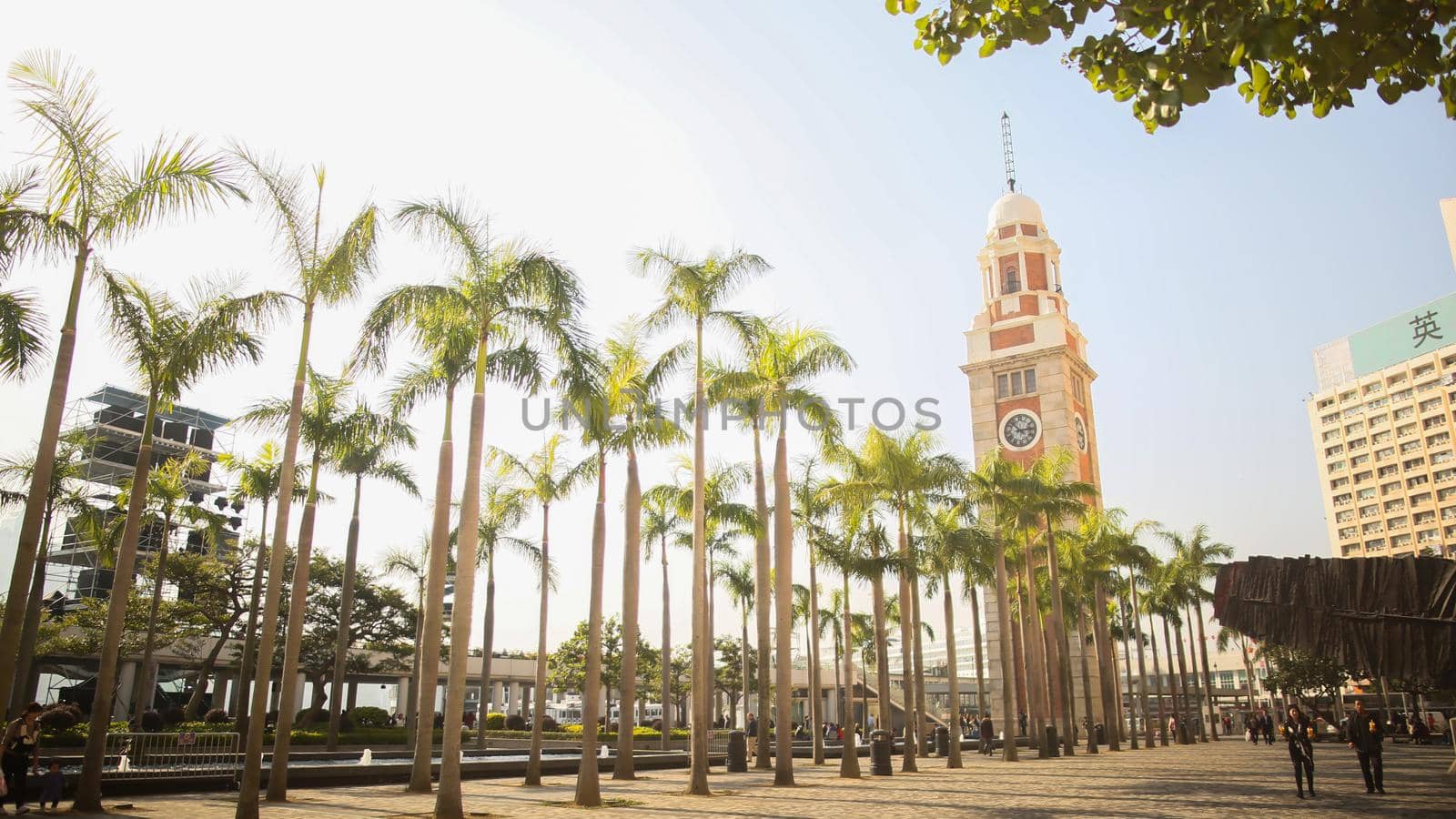 A green alley of palms in Hong Kong. The famous tower with a clock. Architectural sights of the city and the street. by DovidPro