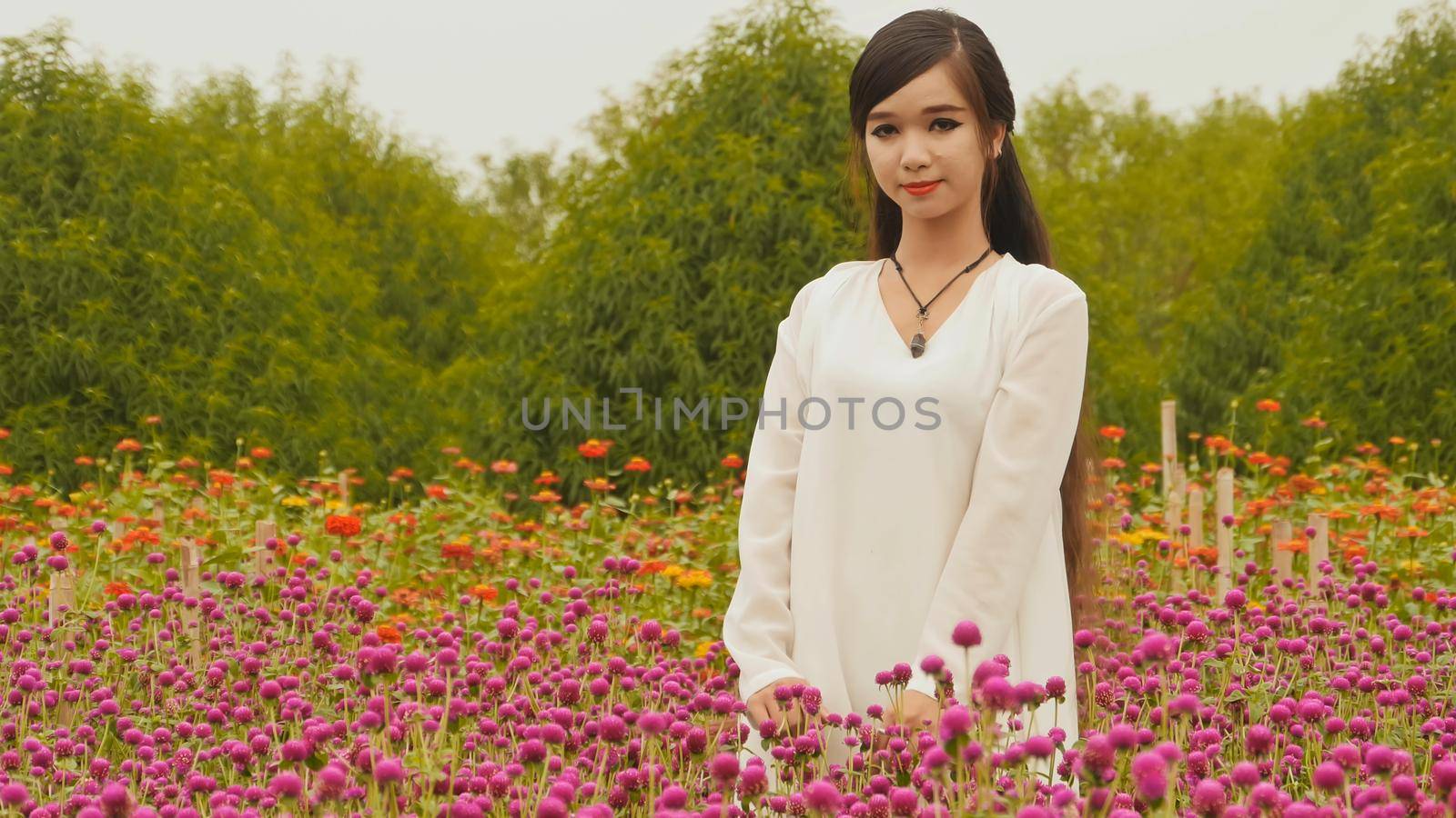 Vietnamese girl with long black hair standing in a plantation purple flowers