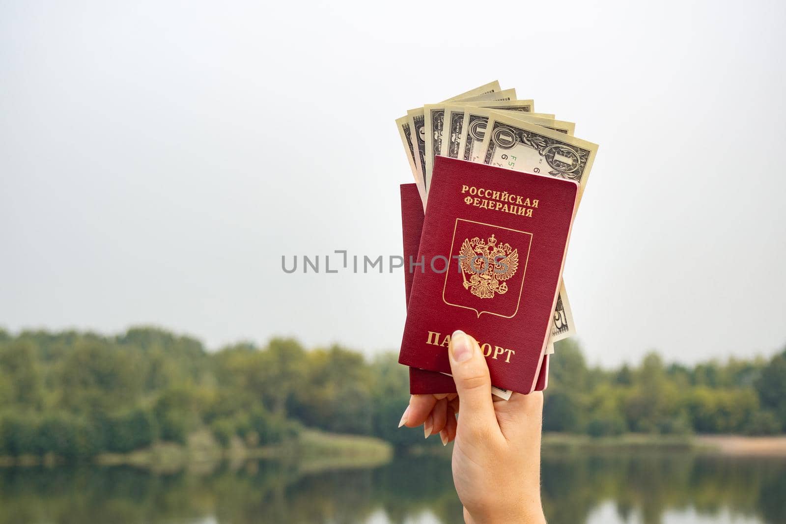 A foreign passport and dollars in your hand, against the background of nature. Filmed outdoors.