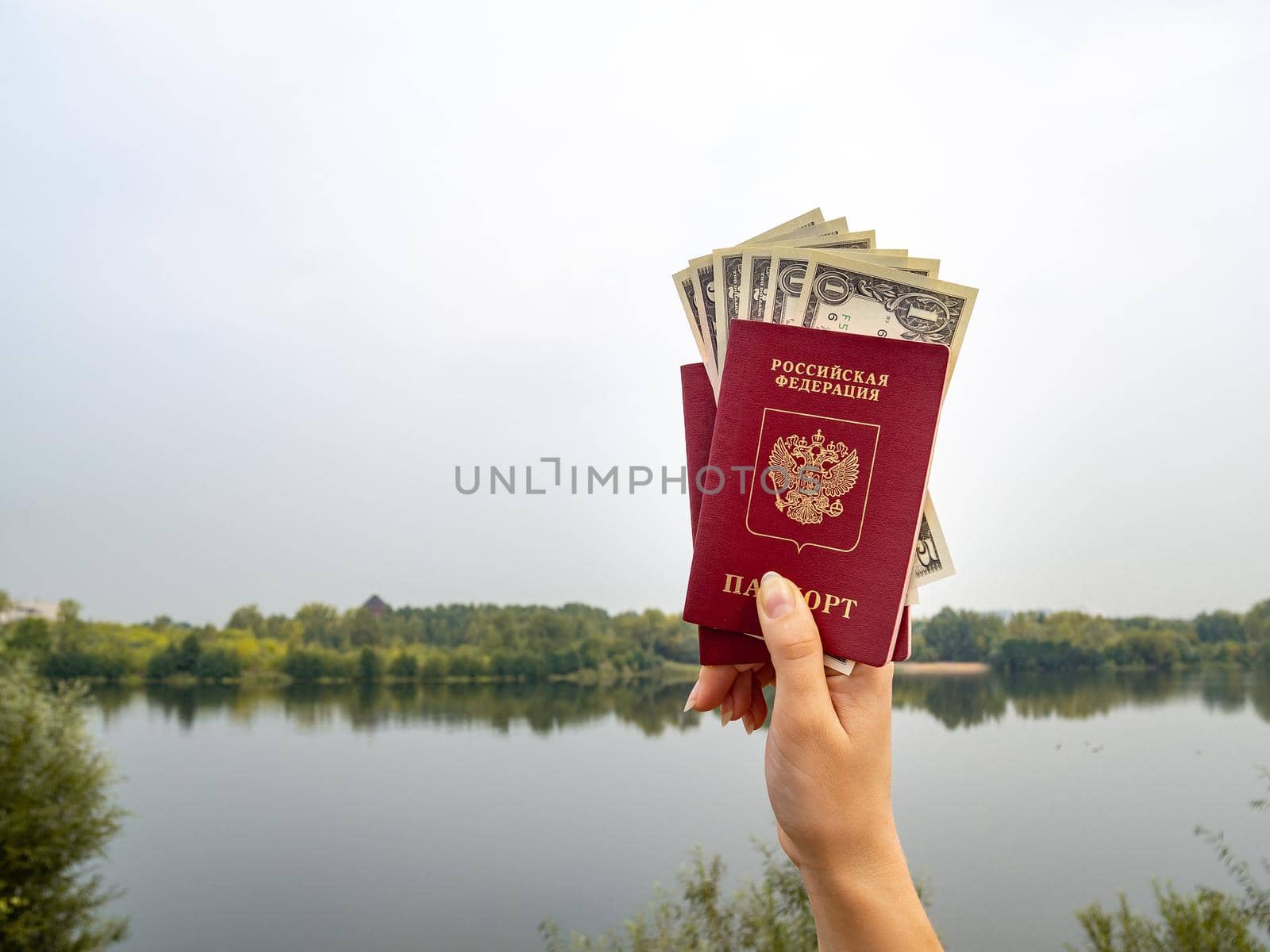 A foreign passport and dollars in your hand, against the background of nature. Filmed outdoors.