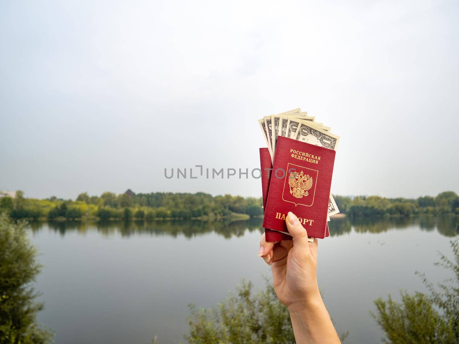 A foreign passport and dollars in your hand, against the background of nature. by Evgenii_Leontev