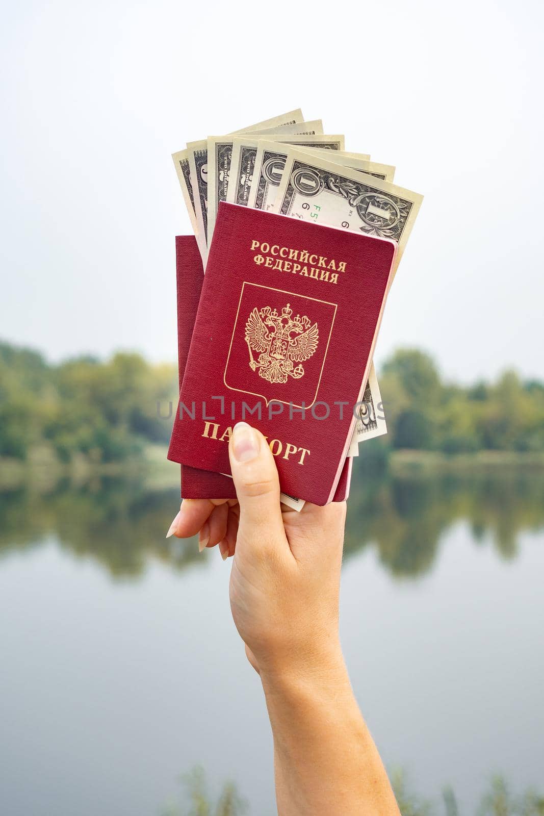 A foreign passport and dollars in your hand, against the background of nature. by Evgenii_Leontev