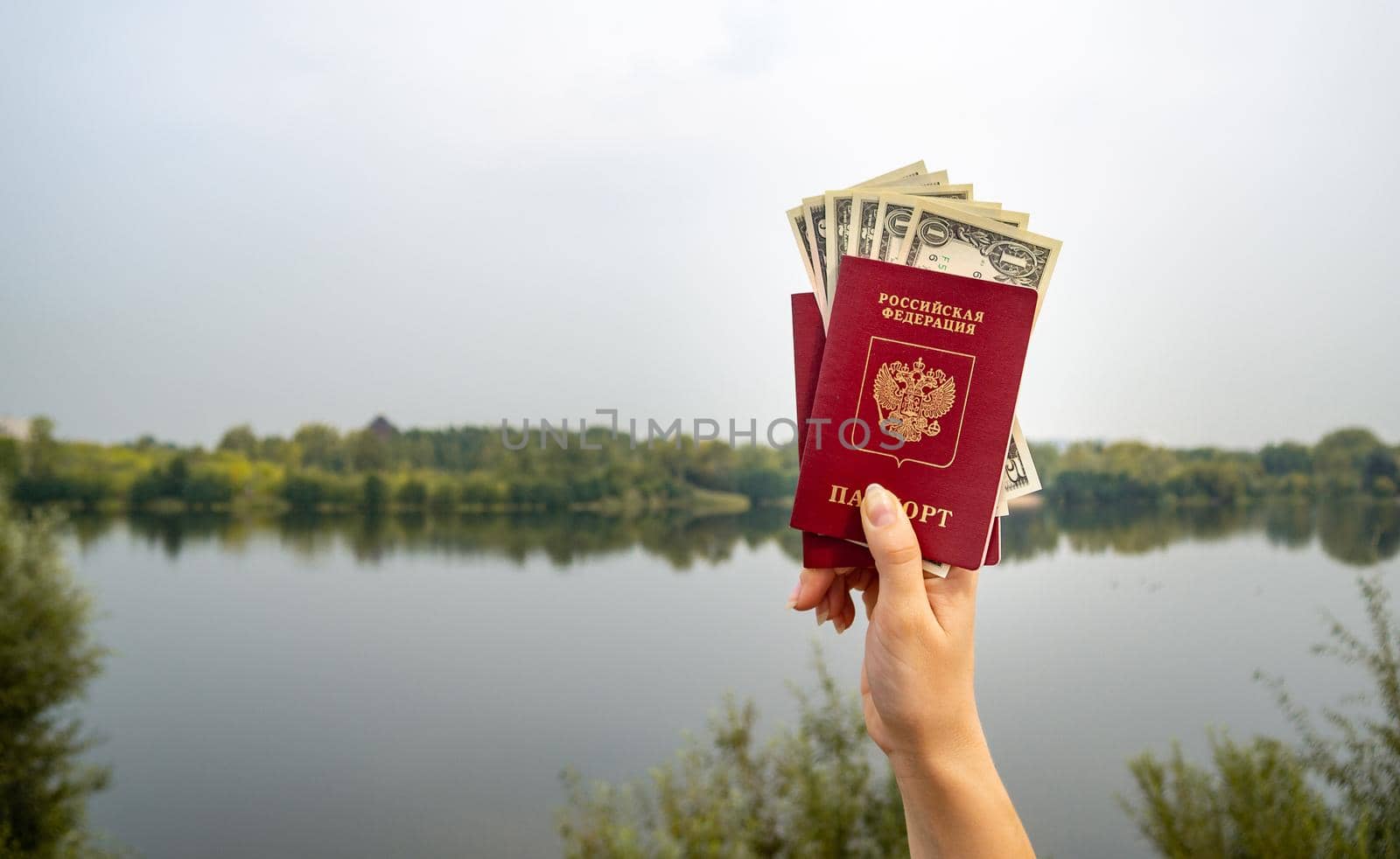 A foreign passport and dollars in your hand, against the background of nature. Filmed outdoors.