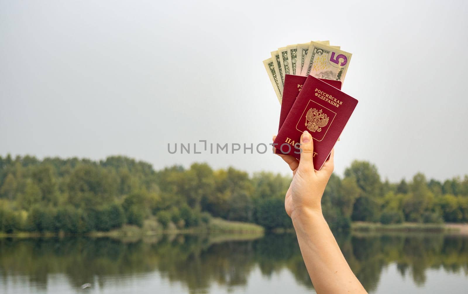 A foreign passport and dollars in your hand, against the background of nature. Filmed outdoors.