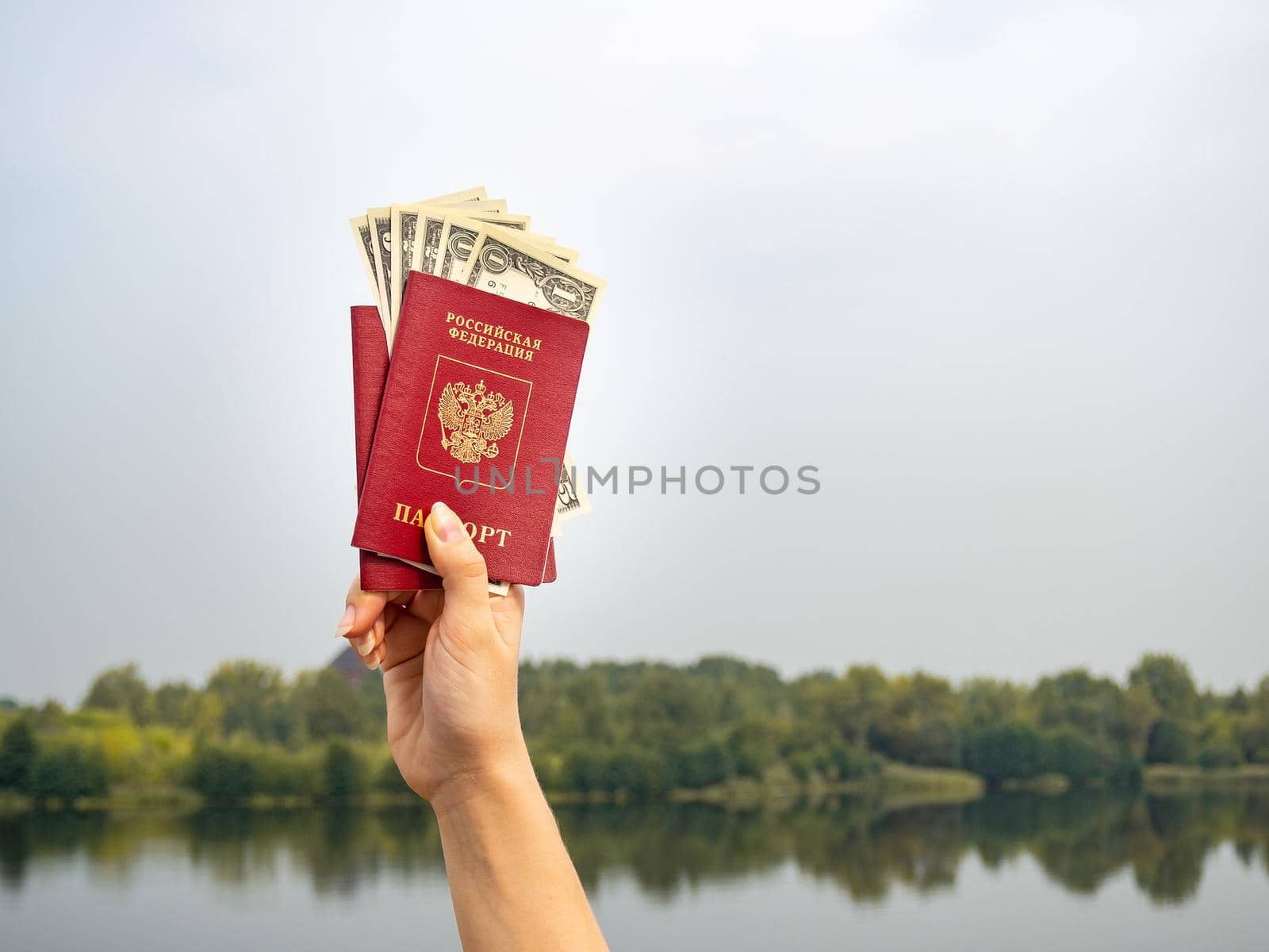 A foreign passport and dollars in your hand, against the background of nature. by Evgenii_Leontev