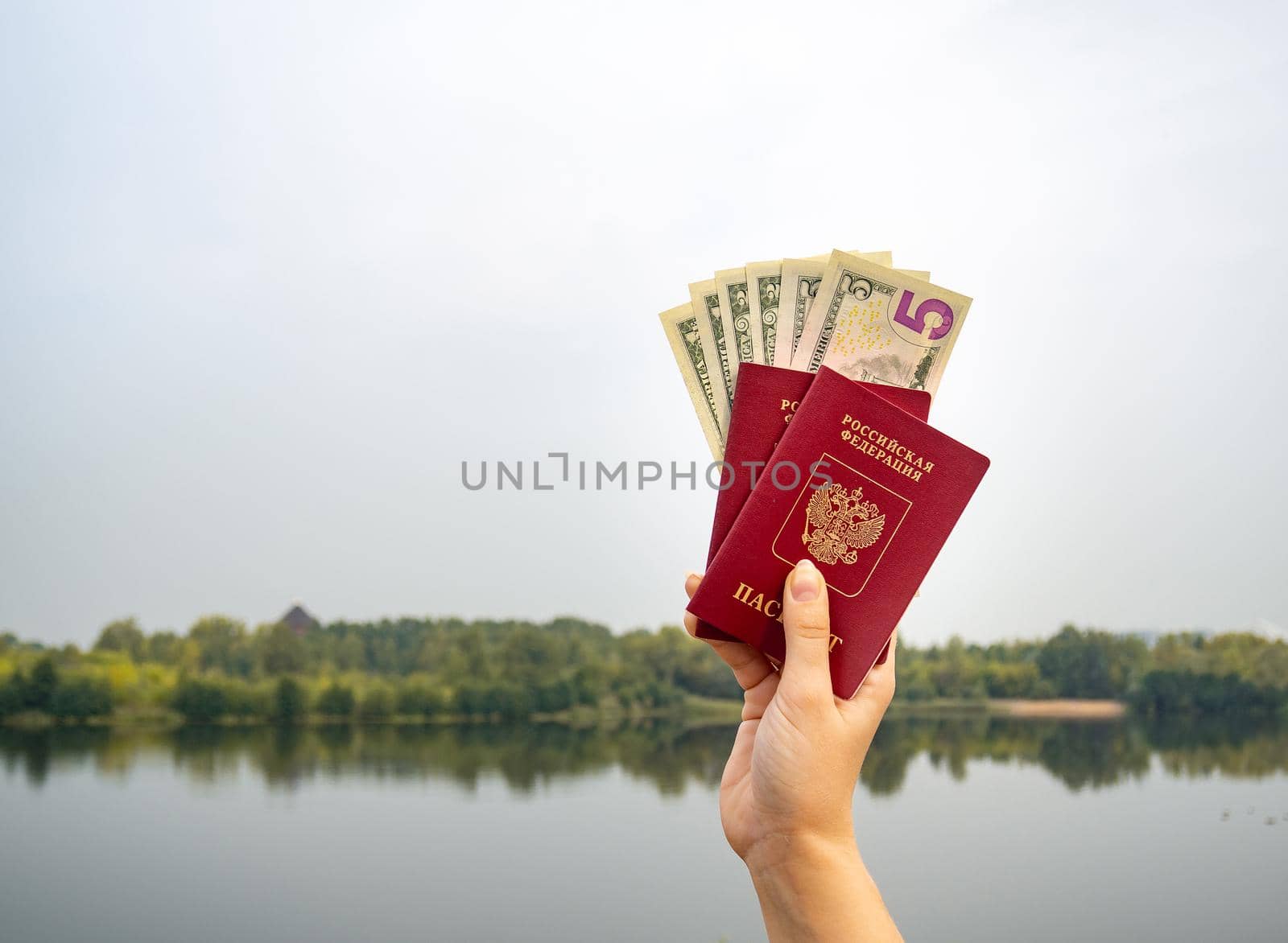 A foreign passport and dollars in your hand, against the background of nature. Filmed outdoors.