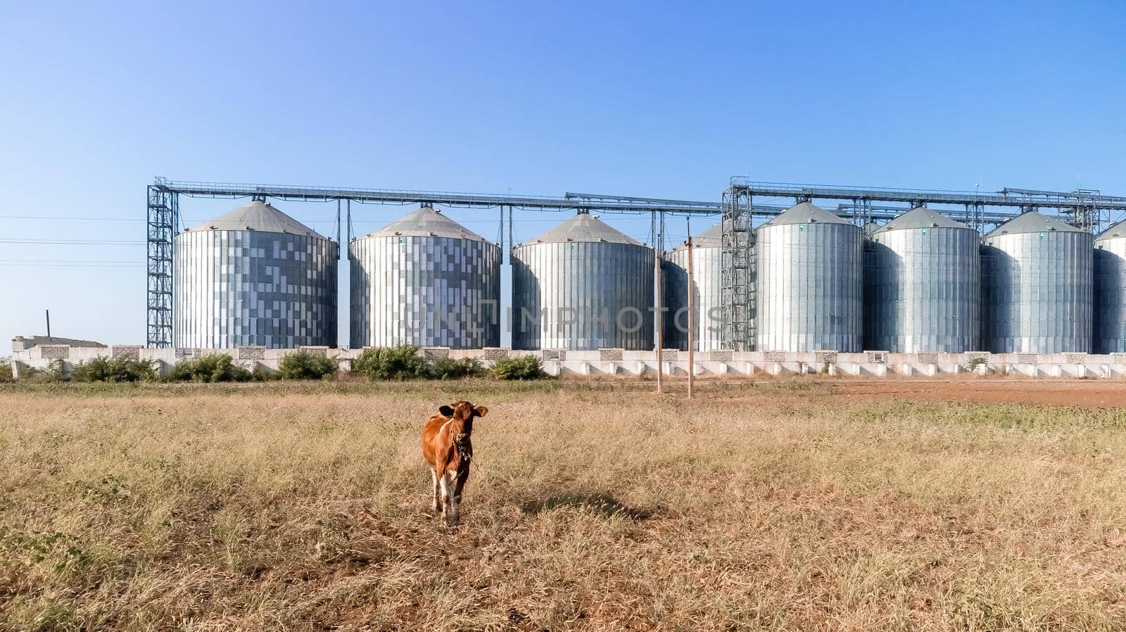 Grain elevator. Metal grain elevator in agricultural zone. Agriculture storage for harvest. Grain elevators on green nature background. Exterior of agricultural factory