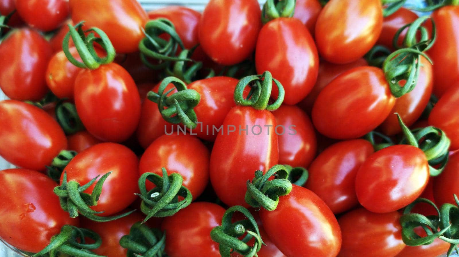 Plum red tomatoes as background