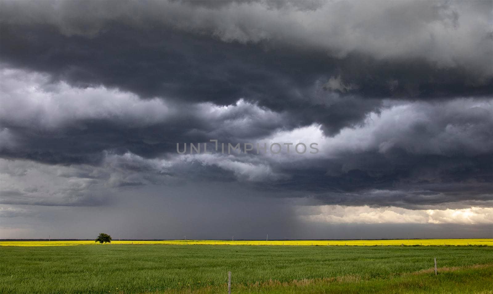 Prairie Storm Clouds Canada by pictureguy