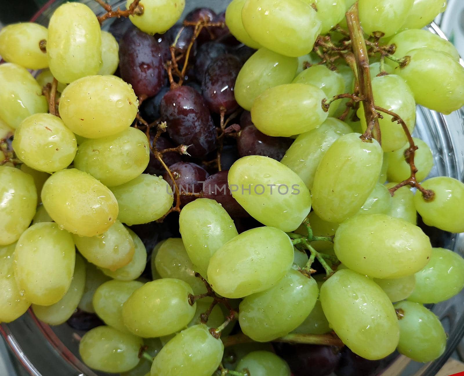 White and red grapes and water drops background