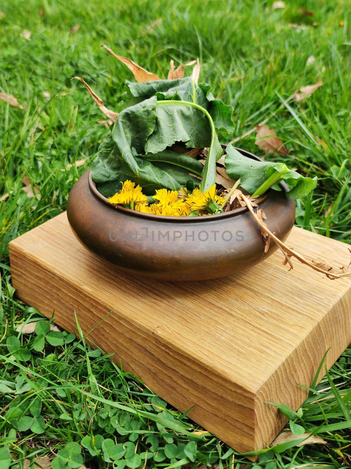 ikebana from dandelion flowers and dry branches in a clay vase on the grass by Annado