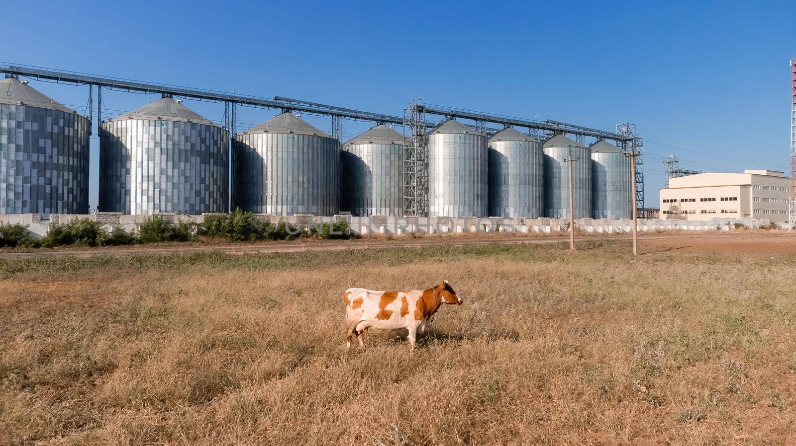 Grain elevator. Metal grain elevator in agricultural zone. Agriculture storage for harvest. Grain elevators on green nature background. Exterior of agricultural factory