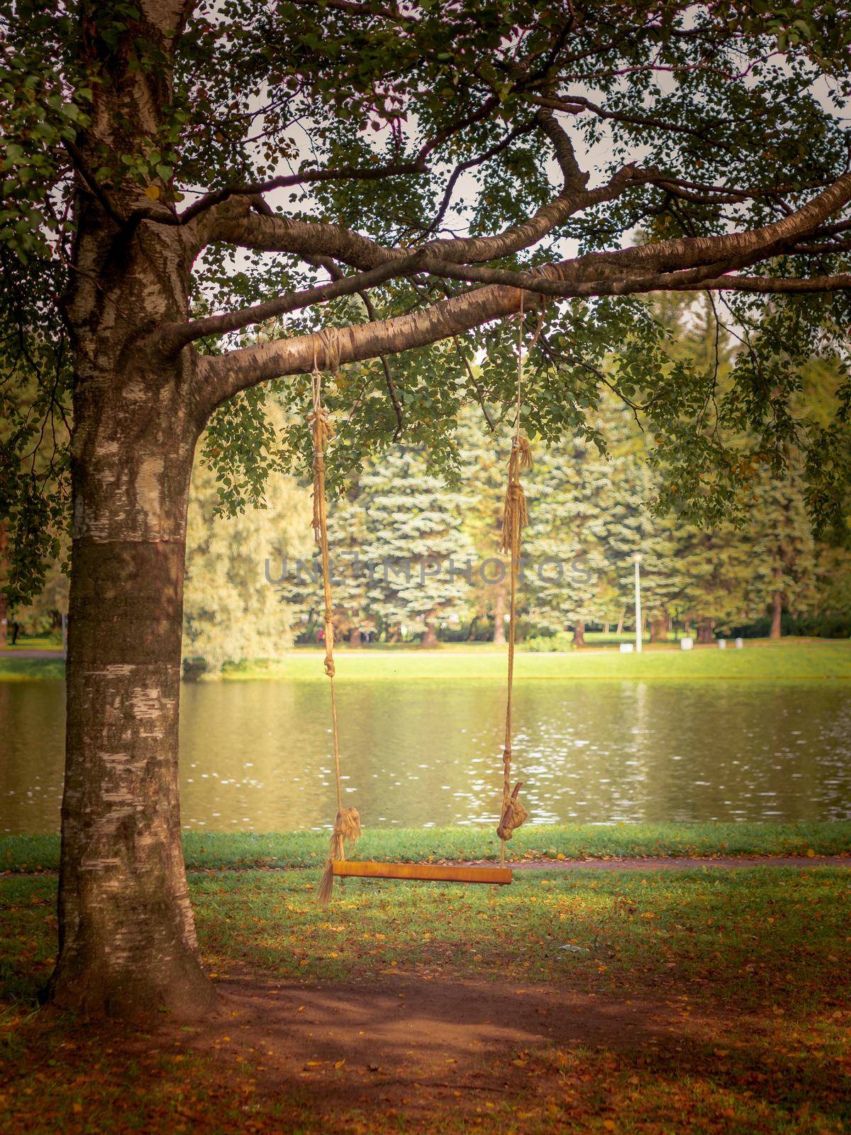 homemade swing from a Board and rope on a tree in a Park or garden, nobody, empty space, autumn background by NataBene