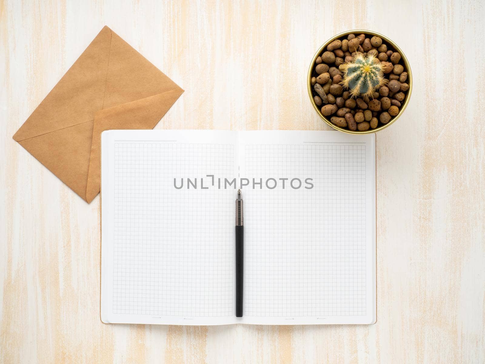 white open notepad, kraft envelope and cactus in pot lying on a beige wooden desk, flat lay, copyspace
