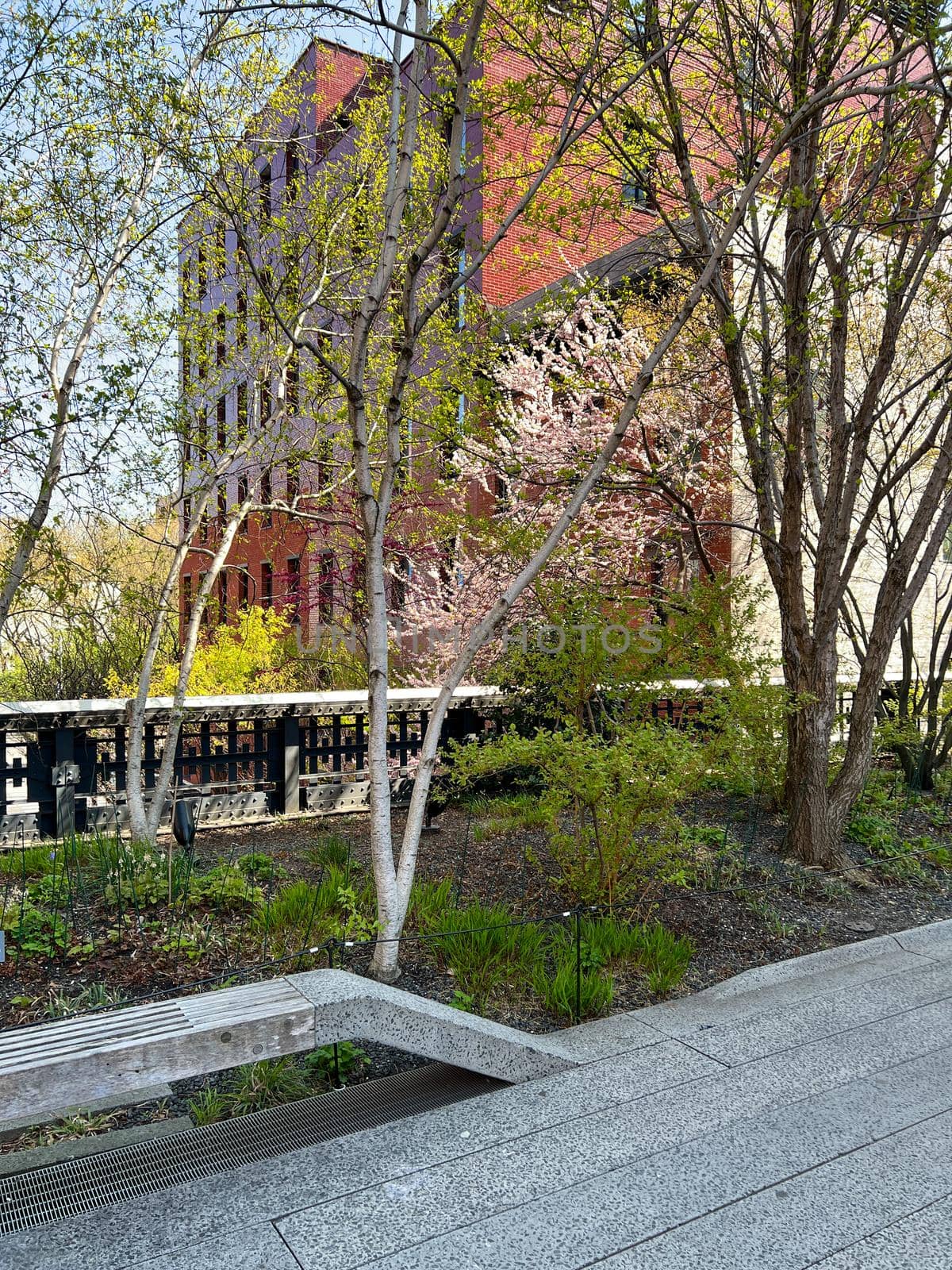 The High Line 1.45 mile long elevated linear park, greenway and rail trail created on a former New York Central Railroad spur by Bonandbon