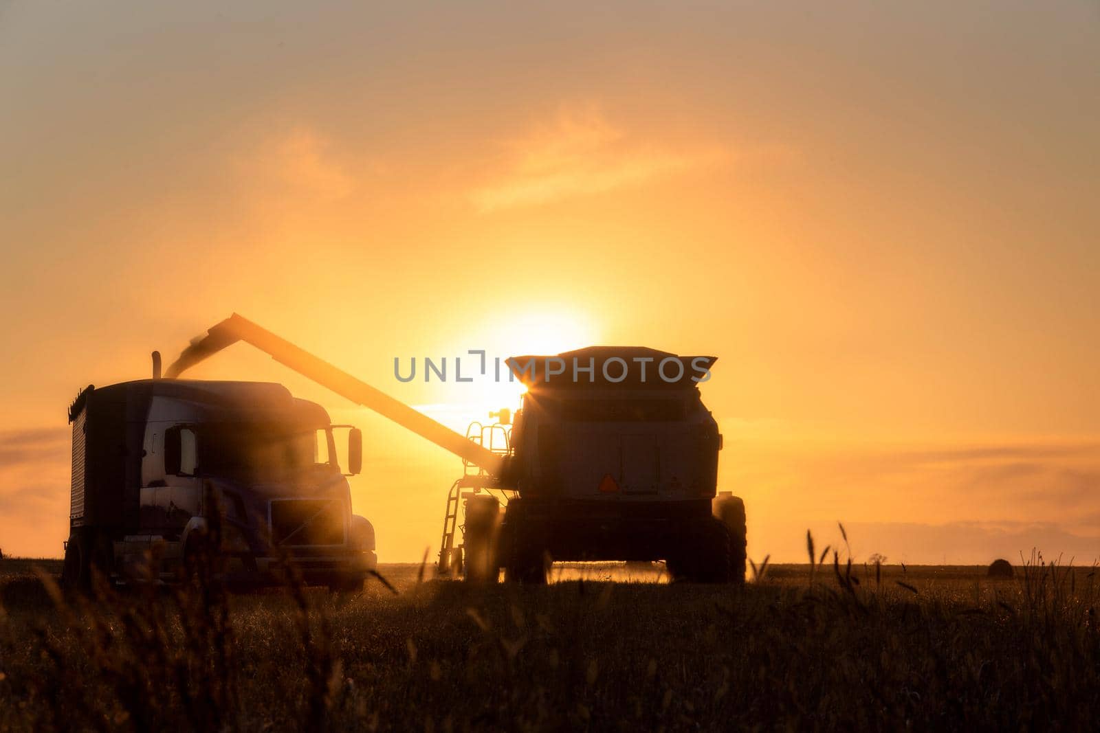 Harvest Sunset Canada Sasktchewan yellow sillouette combine