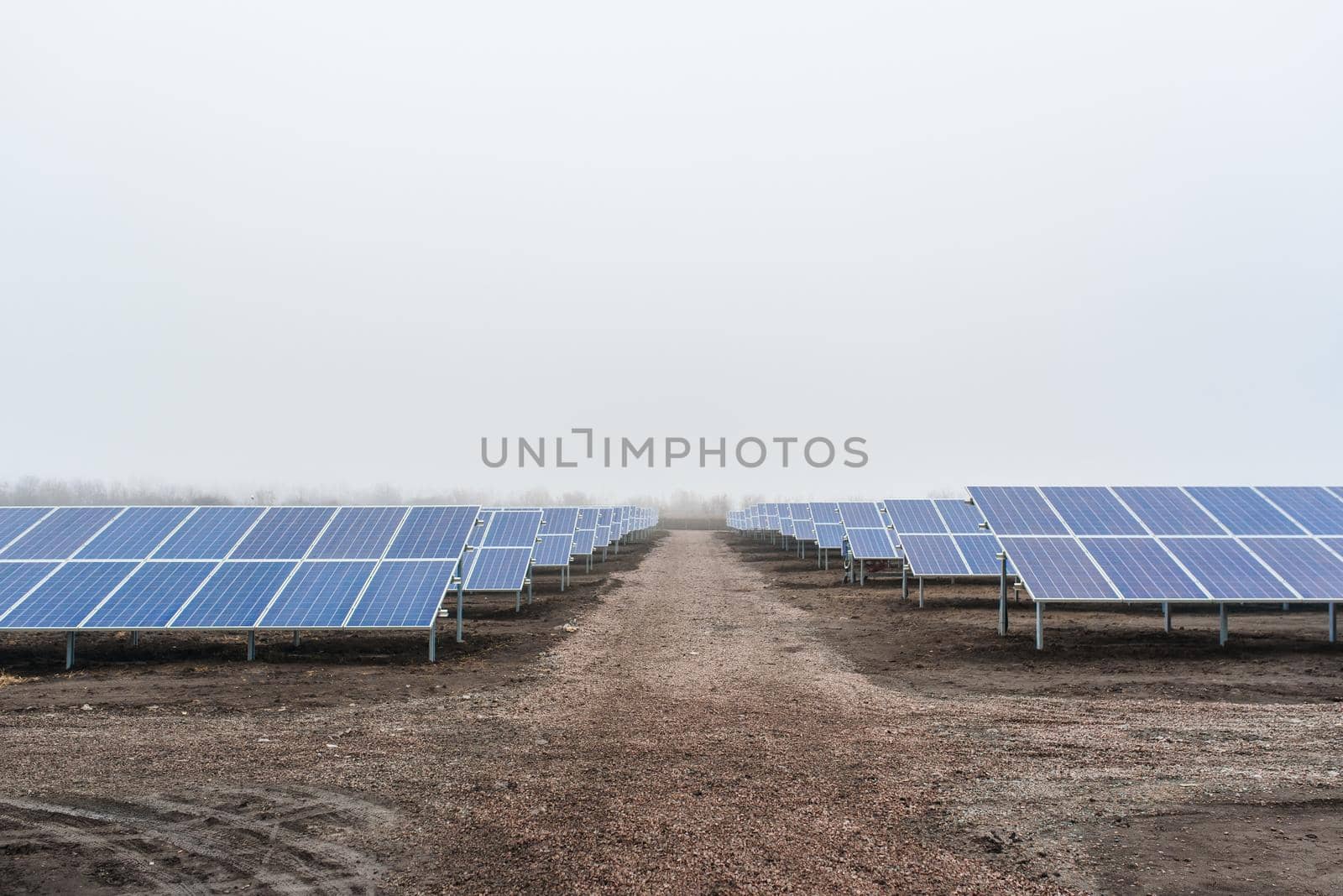 Ecological green energy. solar panels plant mounted on the ground. by Rabizo