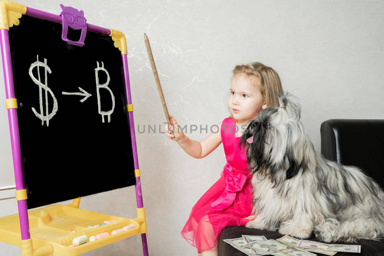 a girl on a blackboard shows a dog that it is necessary to invest dollars in the bitcoin cryptocurrency. The pet listens attentively to its owner and looks at the inscriptions