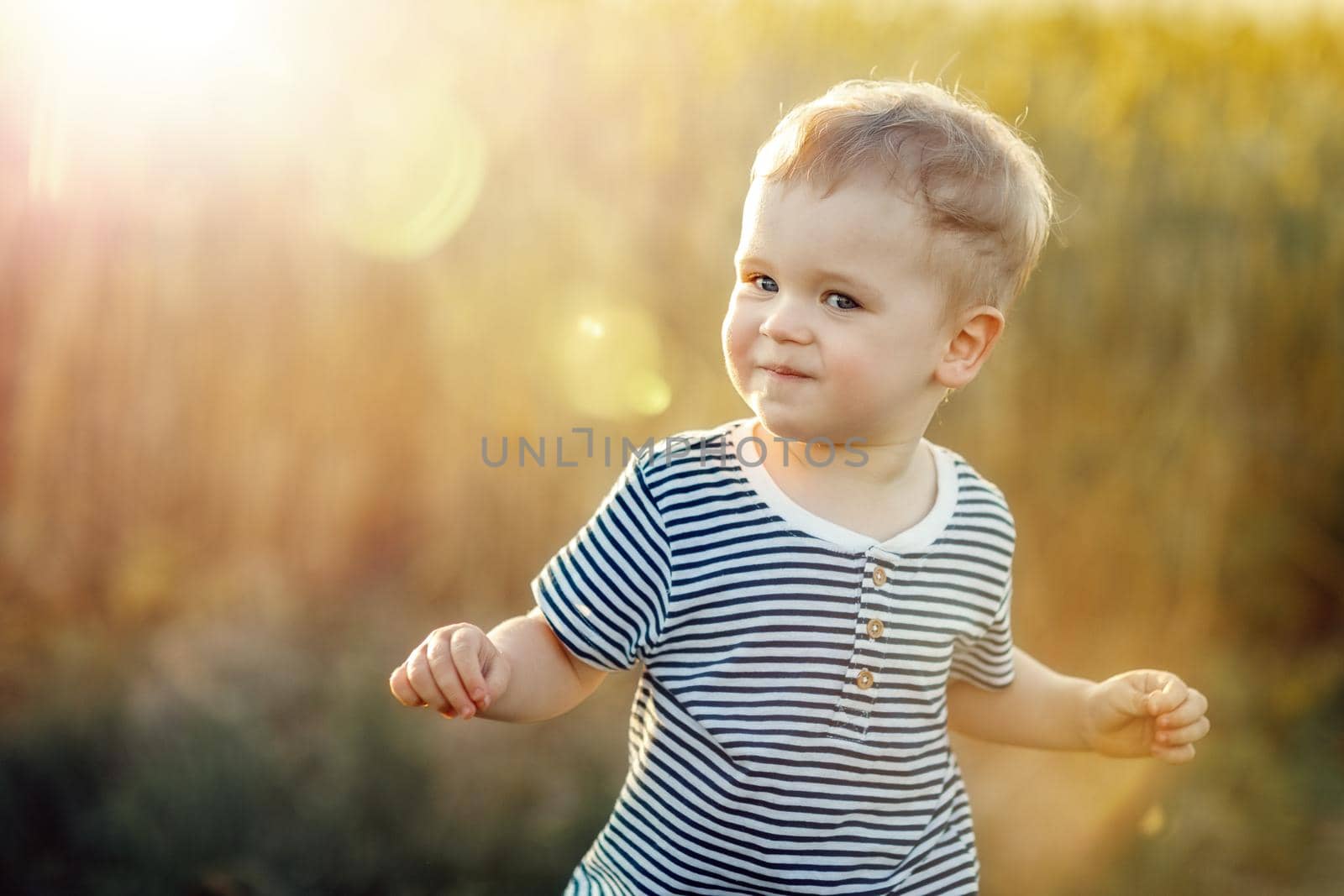 Portrait of a smiling little boy in the background of golden rye in evening light.