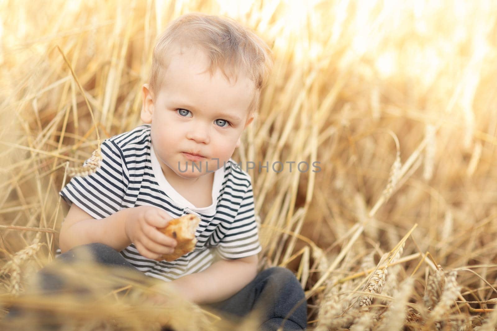 Little country boy eating bread in the wheat field among golden by Lincikas